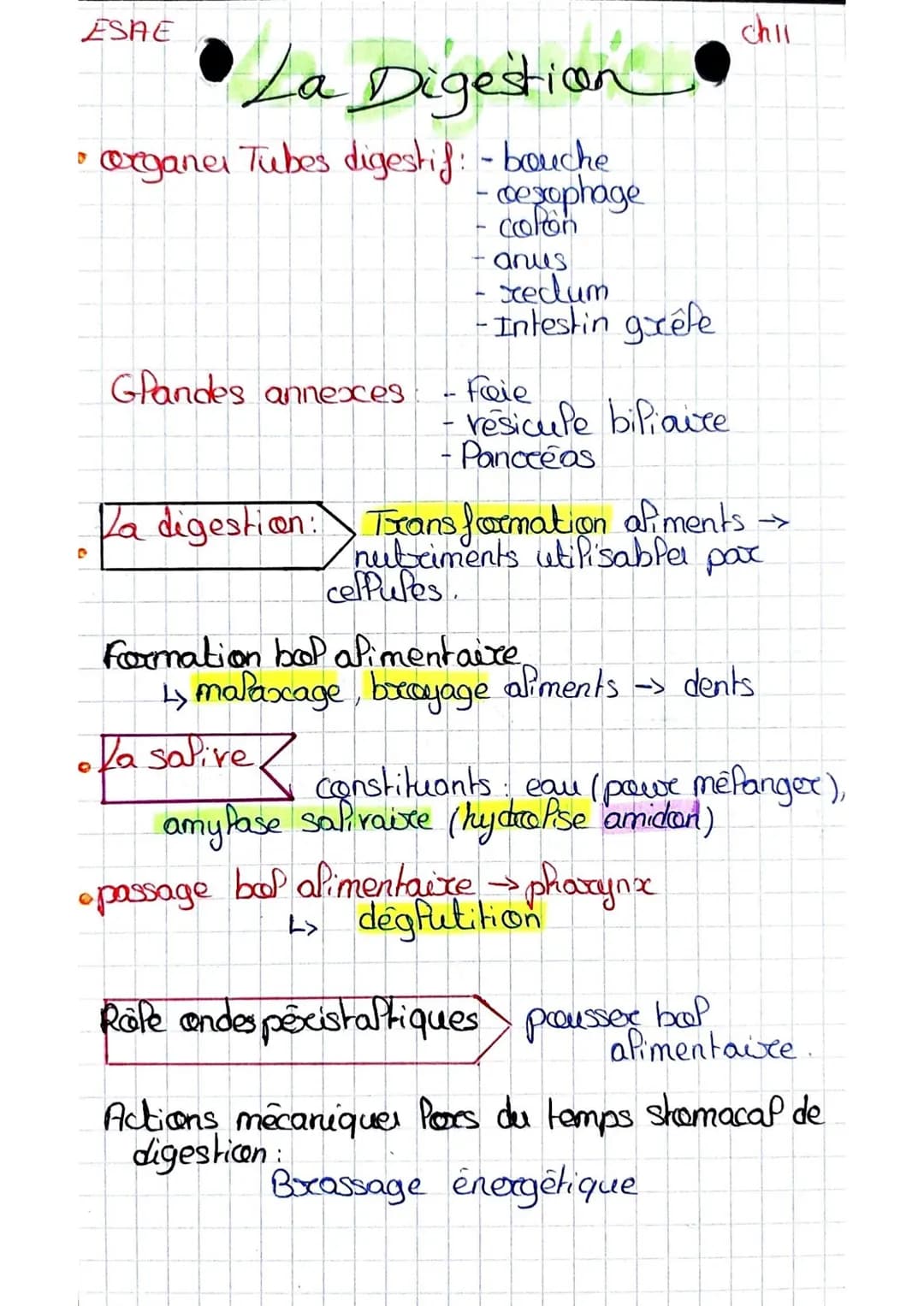 ESAE
chil
# La Digestion
D
* organer Tubes digestif: - bouche
- coexophage
- cofon
- anus
- xedum
- Intestin gxéfe