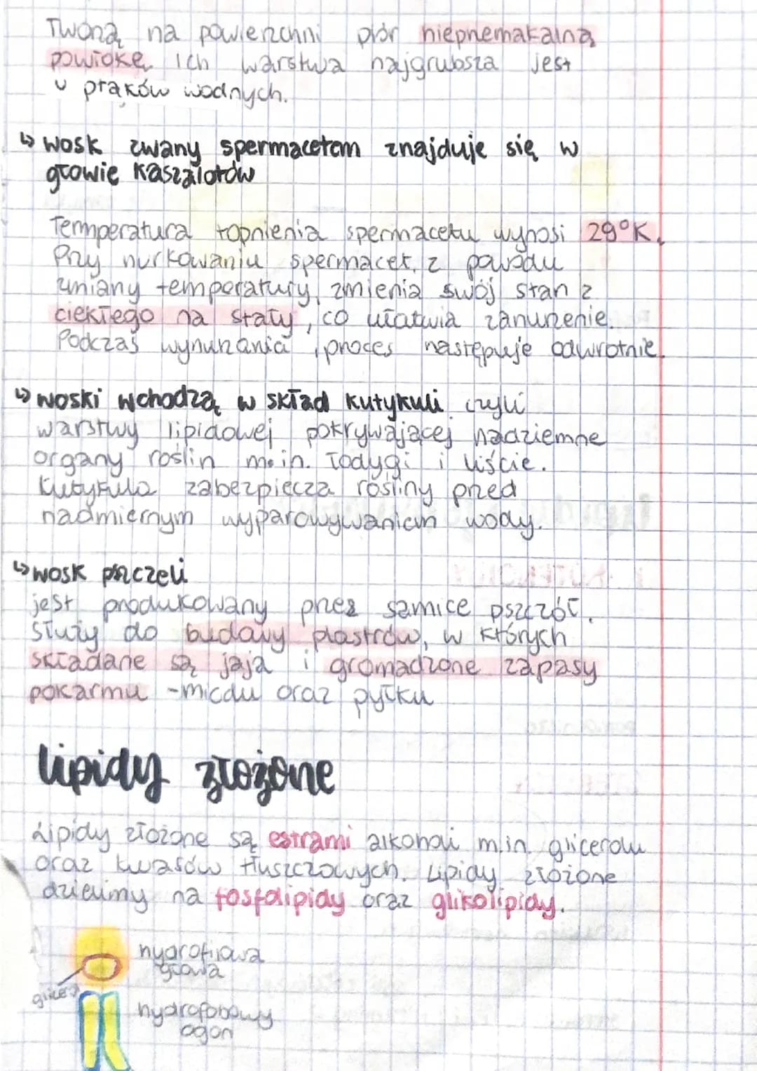 # BUDOWA I
# FUNKCJE LIPIDON
budowa i rodzaje lipidow
PROSTE Z46DEKONE
* tłuszcze *fosfolipidy
właściwe *gu klipidy
* Woski
IZOPRENO