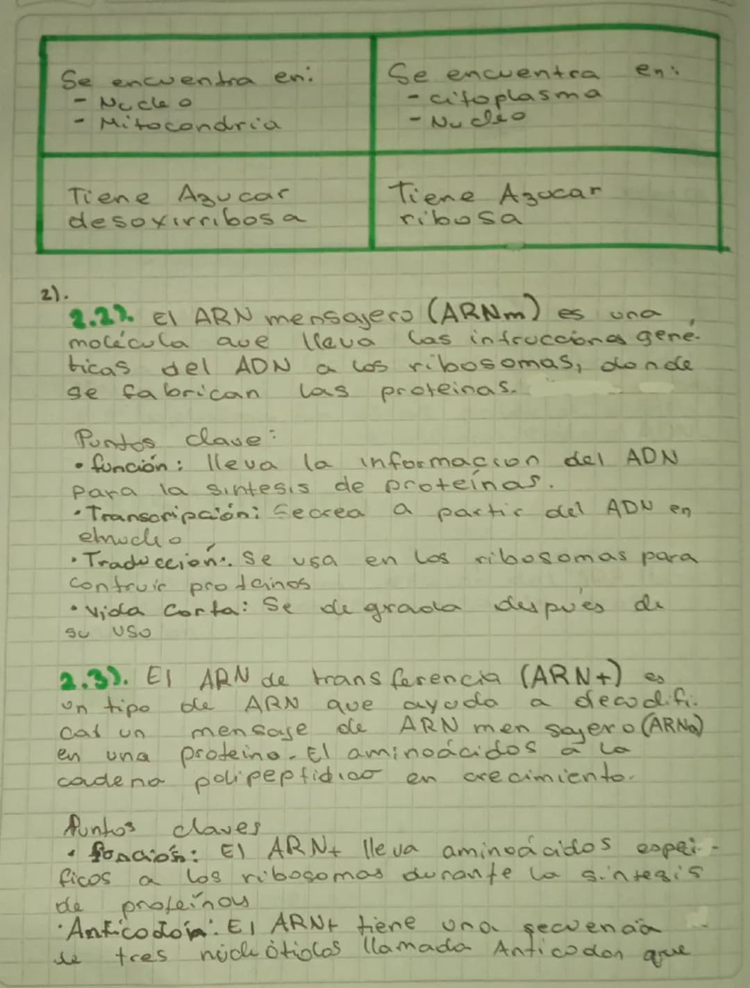 acidos
# nucleicos
los acidos nucleicos son acido deso
Xirribonucleico (ADN) y el acido ri-
bonucleico (ARN)
Son dos moleculas de gran tama.