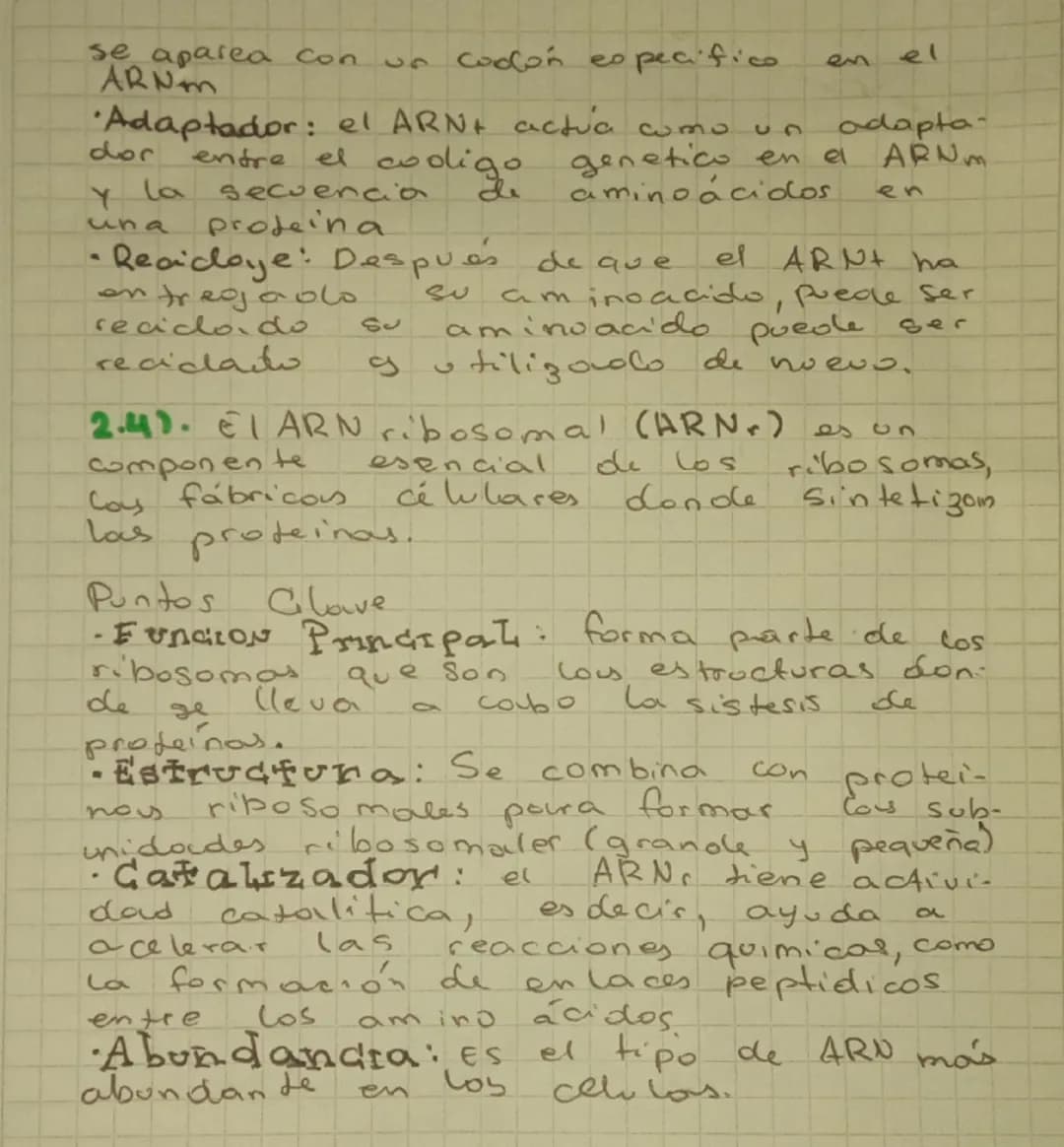acidos
# nucleicos
los acidos nucleicos son acido deso
Xirribonucleico (ADN) y el acido ri-
bonucleico (ARN)
Son dos moleculas de gran tama.
