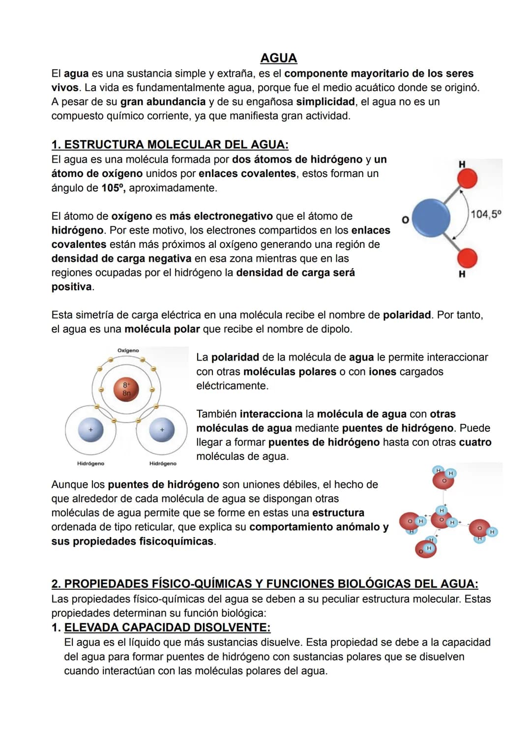 # BIOELEMENTOS
Todos los seres vivos están formados por la combinación de algunos elementos químicos,
que reciben el nombre de bioelementos