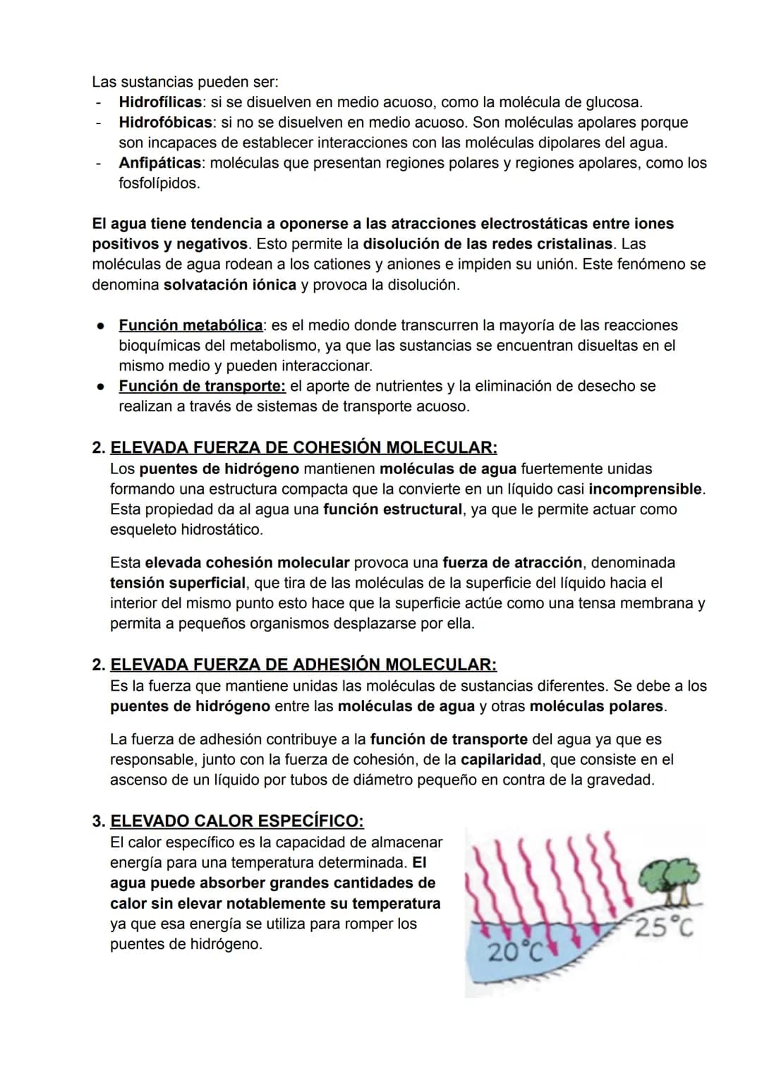 # BIOELEMENTOS
Todos los seres vivos están formados por la combinación de algunos elementos químicos,
que reciben el nombre de bioelementos