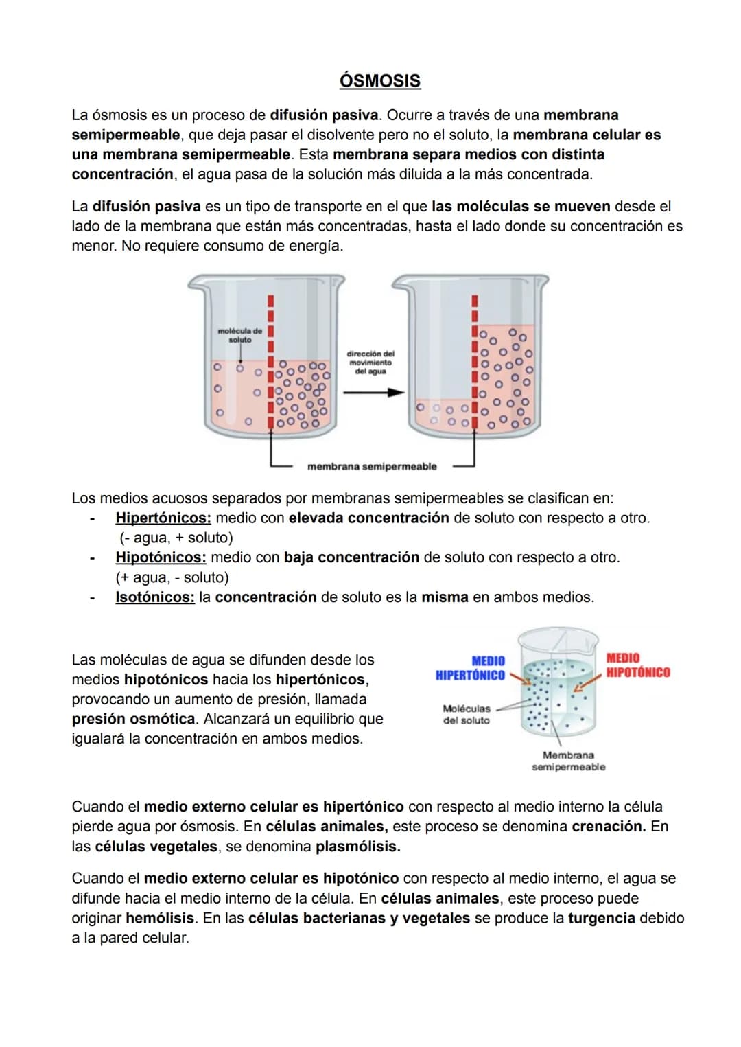 # BIOELEMENTOS
Todos los seres vivos están formados por la combinación de algunos elementos químicos,
que reciben el nombre de bioelementos