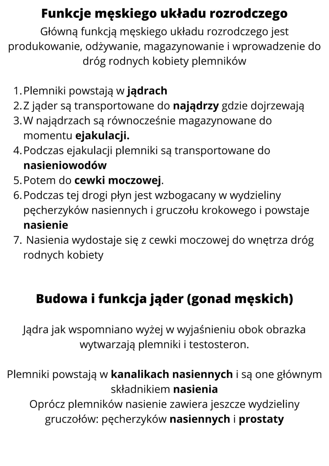 # Budowa i funkcje męskich
narządów rozrodczych
## Cechy płciowe
Cechy płciowe to cechy ciała, którymi mężczyźni i kobiety różnią
się od si