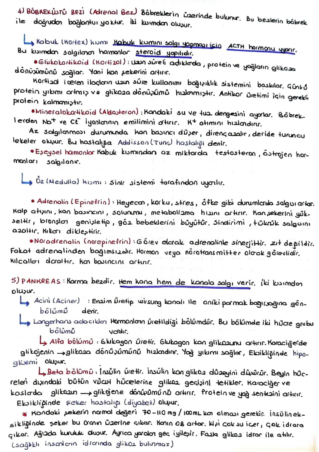 # Hipofizin ön lob hormonları
1) Büyüme hormonu = GH = STH = Somatotropik hormon: Büyümeyi sağlayan harman
dır. Özellikle kaslar ve kemikle
