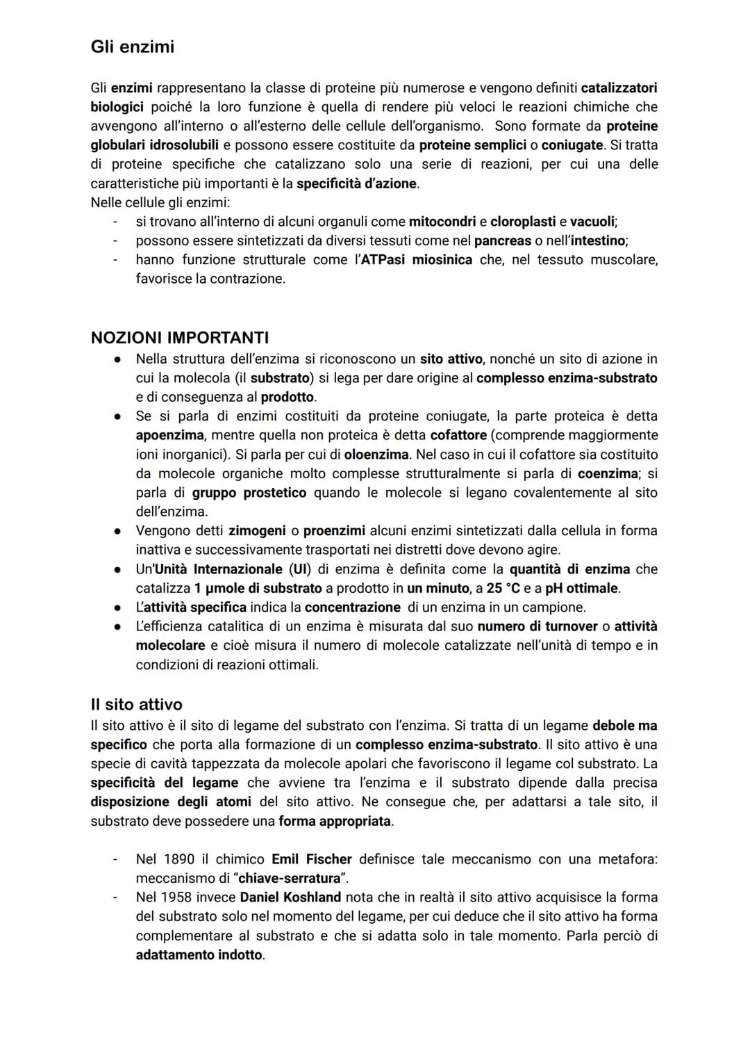 # Gli enzimi
Gli enzimi rappresentano la classe di proteine più numerose e vengono definiti catalizzatori
biologici poiché la loro funzione