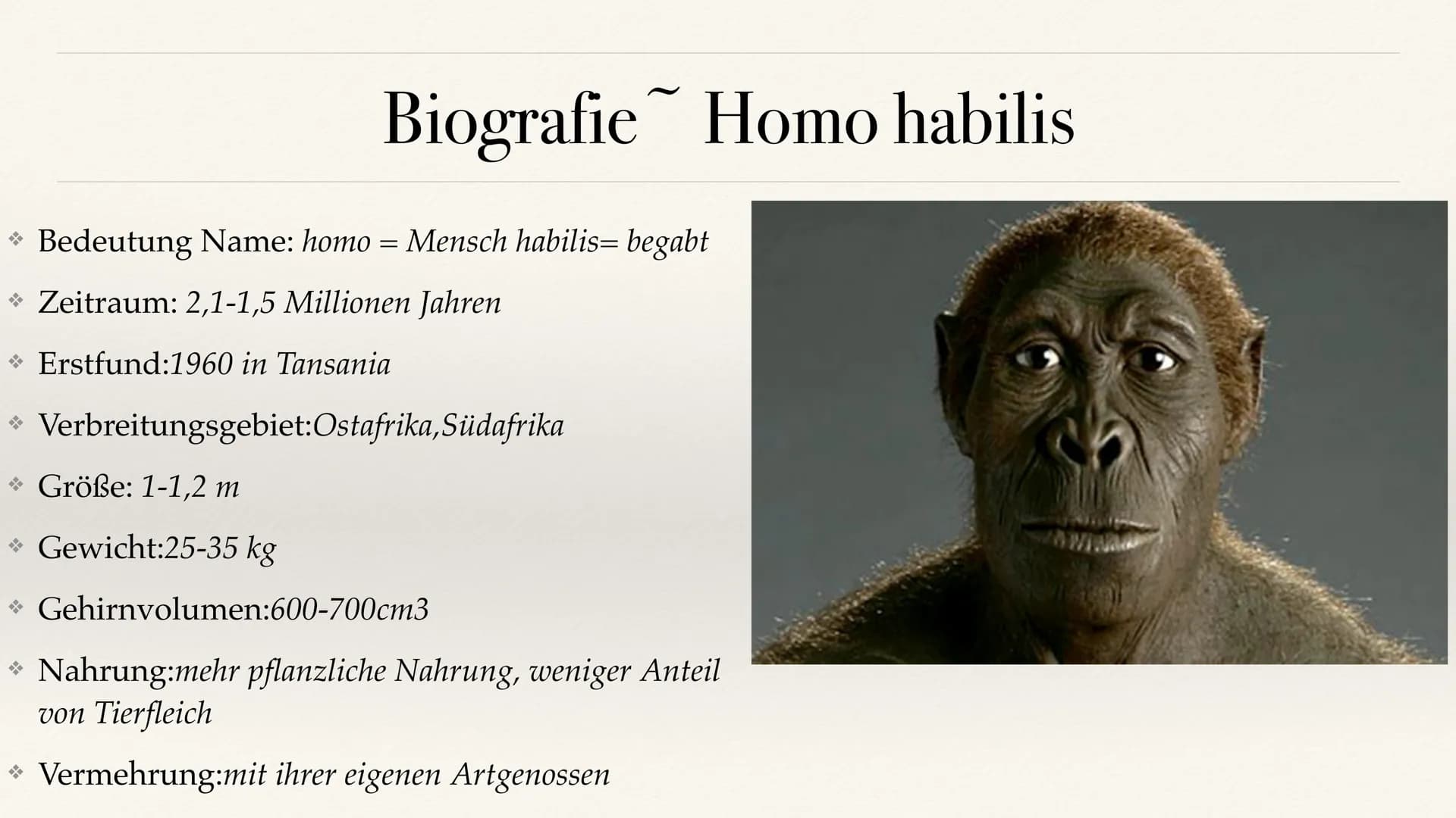 # Der Stammbaum des Menschen Evolution der Menschheit # Inhaltsverzeichnis
• Stammbaum der Menschen
• Homo Habilis
A. Biografie
B. Lebens