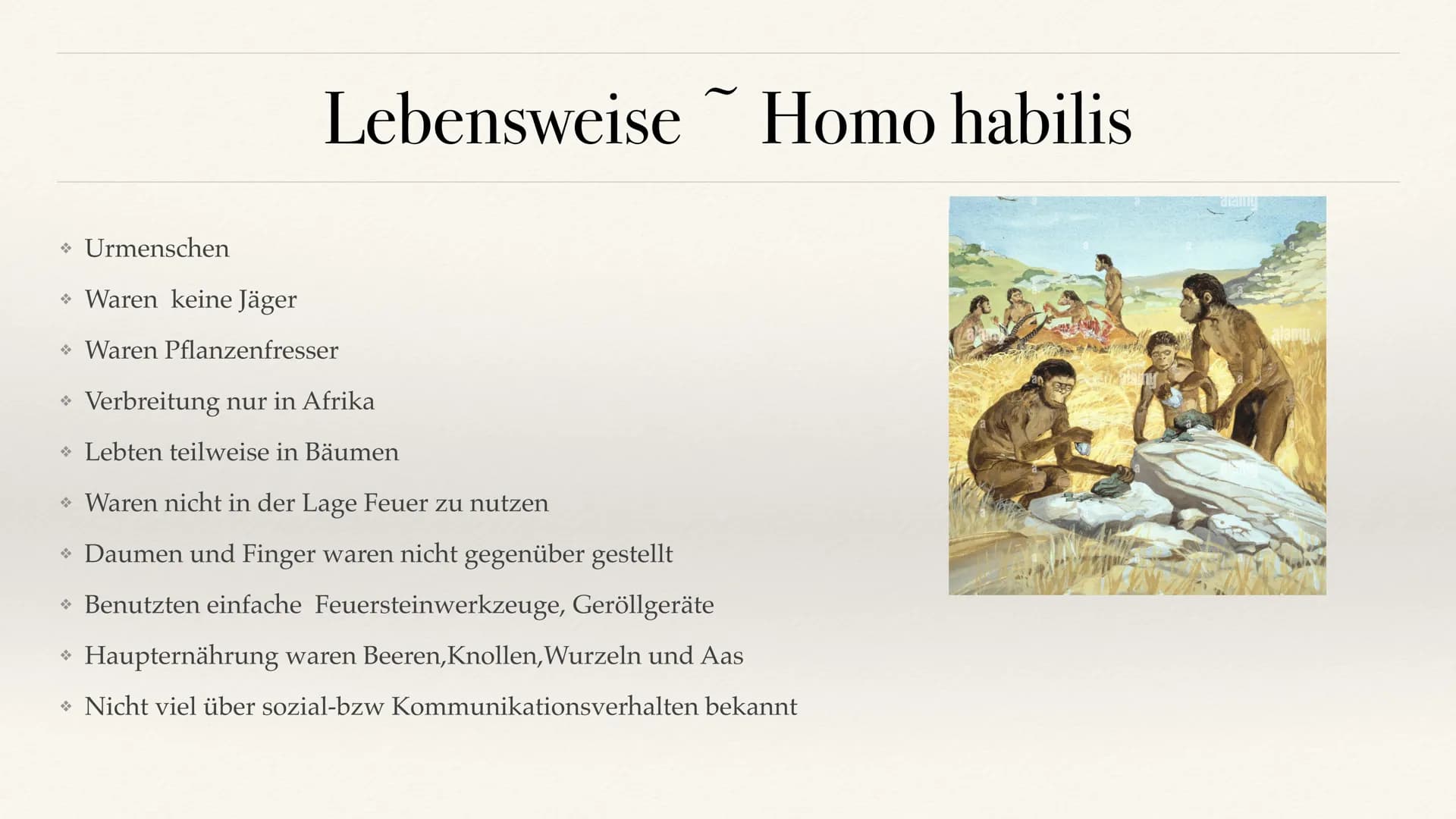 # Der Stammbaum des Menschen Evolution der Menschheit # Inhaltsverzeichnis
• Stammbaum der Menschen
• Homo Habilis
A. Biografie
B. Lebens