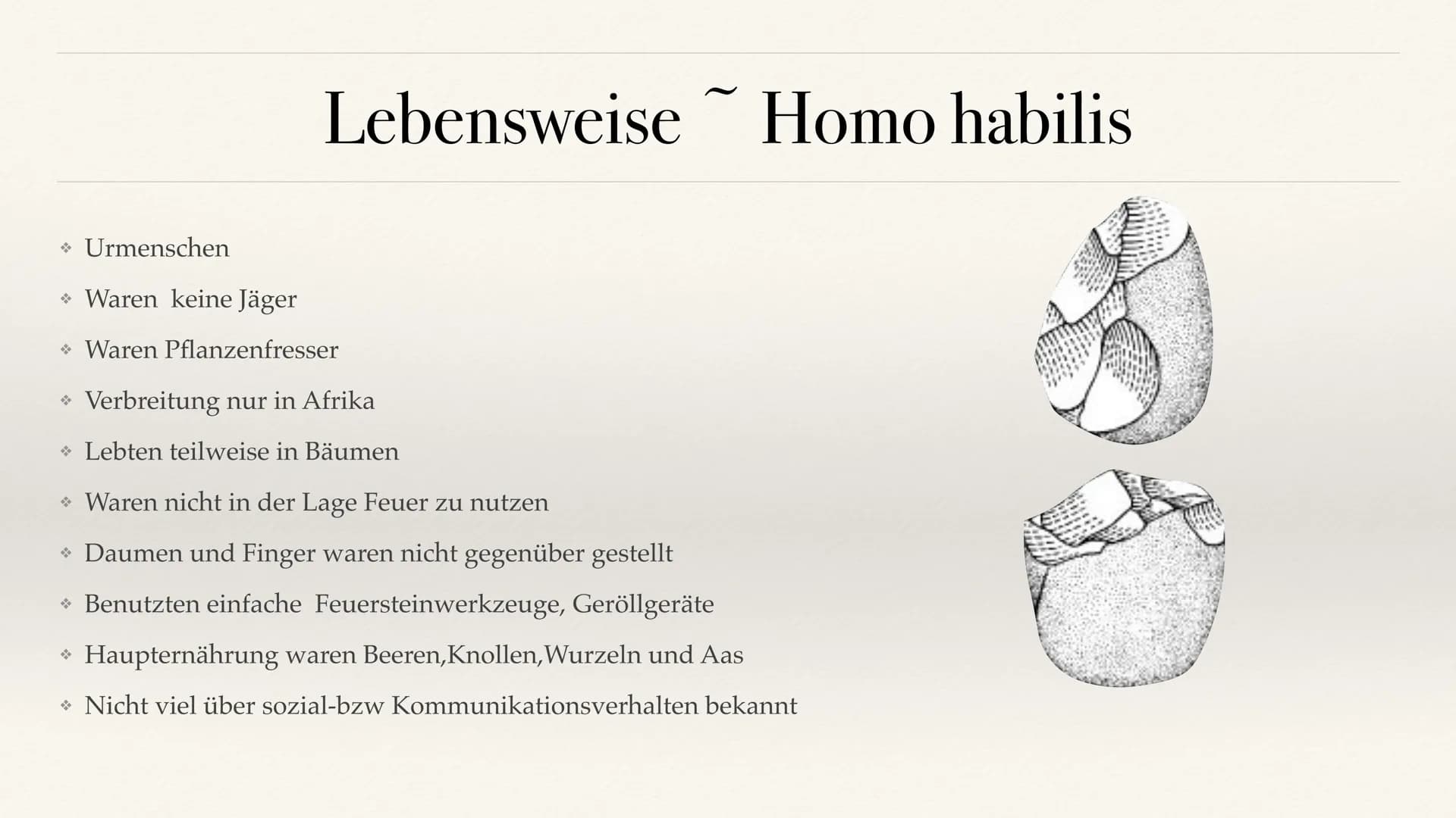 # Der Stammbaum des Menschen Evolution der Menschheit # Inhaltsverzeichnis
• Stammbaum der Menschen
• Homo Habilis
A. Biografie
B. Lebens
