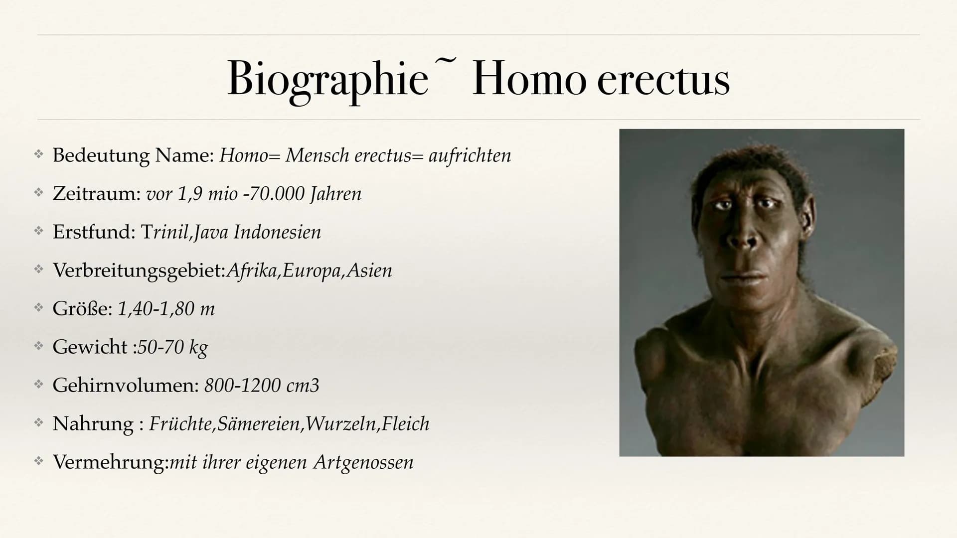 # Der Stammbaum des Menschen Evolution der Menschheit # Inhaltsverzeichnis
• Stammbaum der Menschen
• Homo Habilis
A. Biografie
B. Lebens