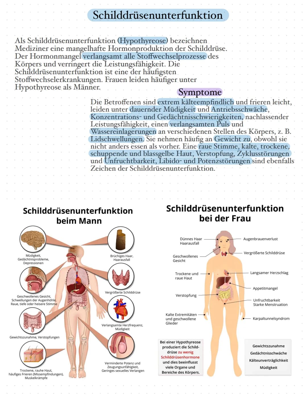 # Die Schilddrüse
Die Schilddrüse ist eine lebenswichtige Hormondrüse. Sie spielt eine große
Rolle für den Stoffwechsel, das Wachstum und d