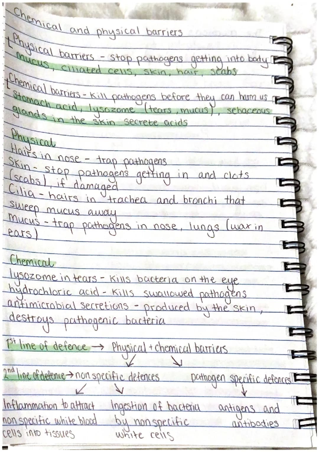 Chemical and physical barriers
Physical barriers - stop pathogens getting into body!
Mucus, ciliated cells, skin, hair, scabs
Chemical barri