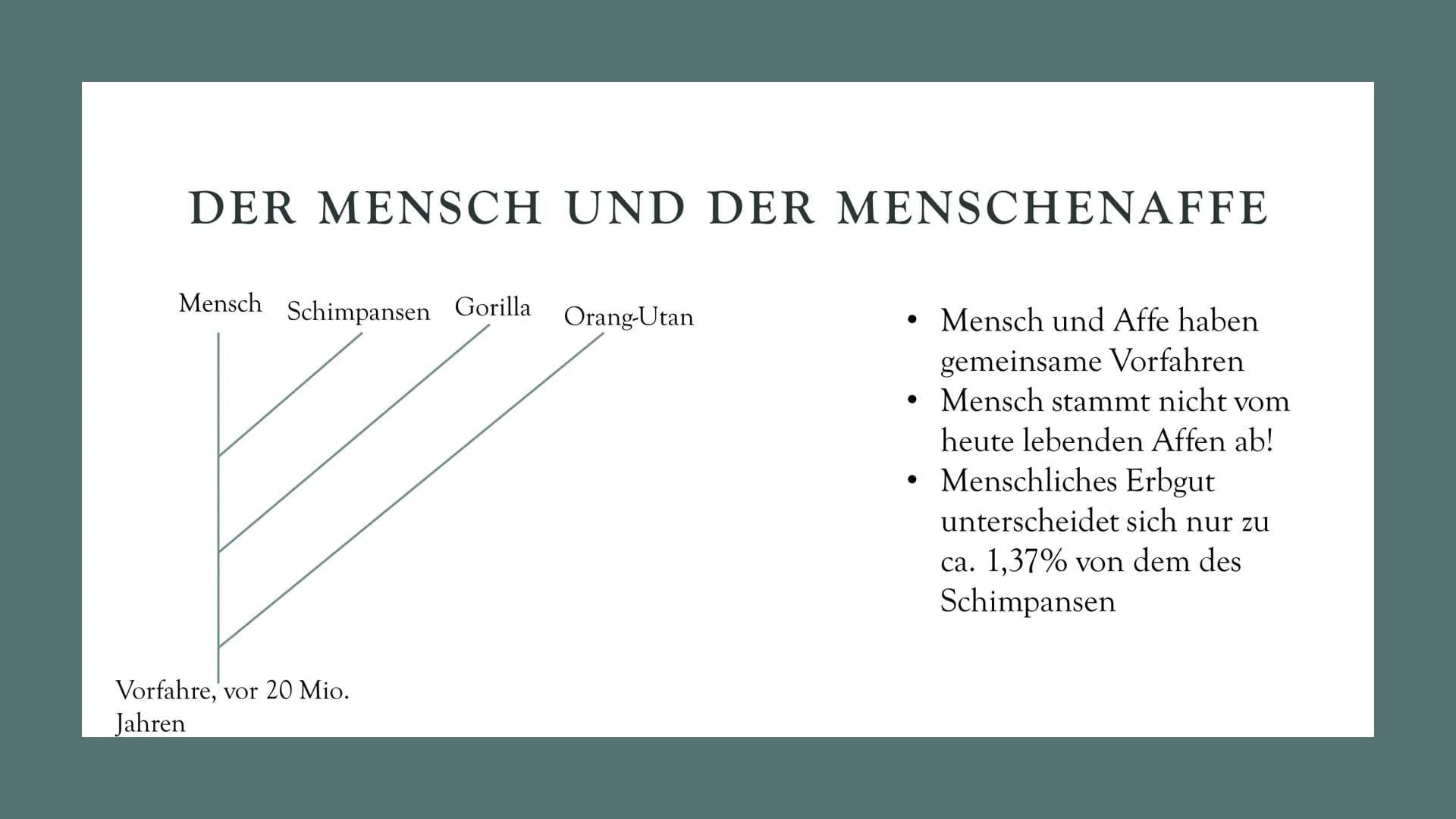 # DIE
# EVOLUTION
# DES
# MENSCHEN
Biologie Leistungskurs # GLIEDERUNG
1. Evolution des Menschen einfach erklärt
2. Der Mensch und der