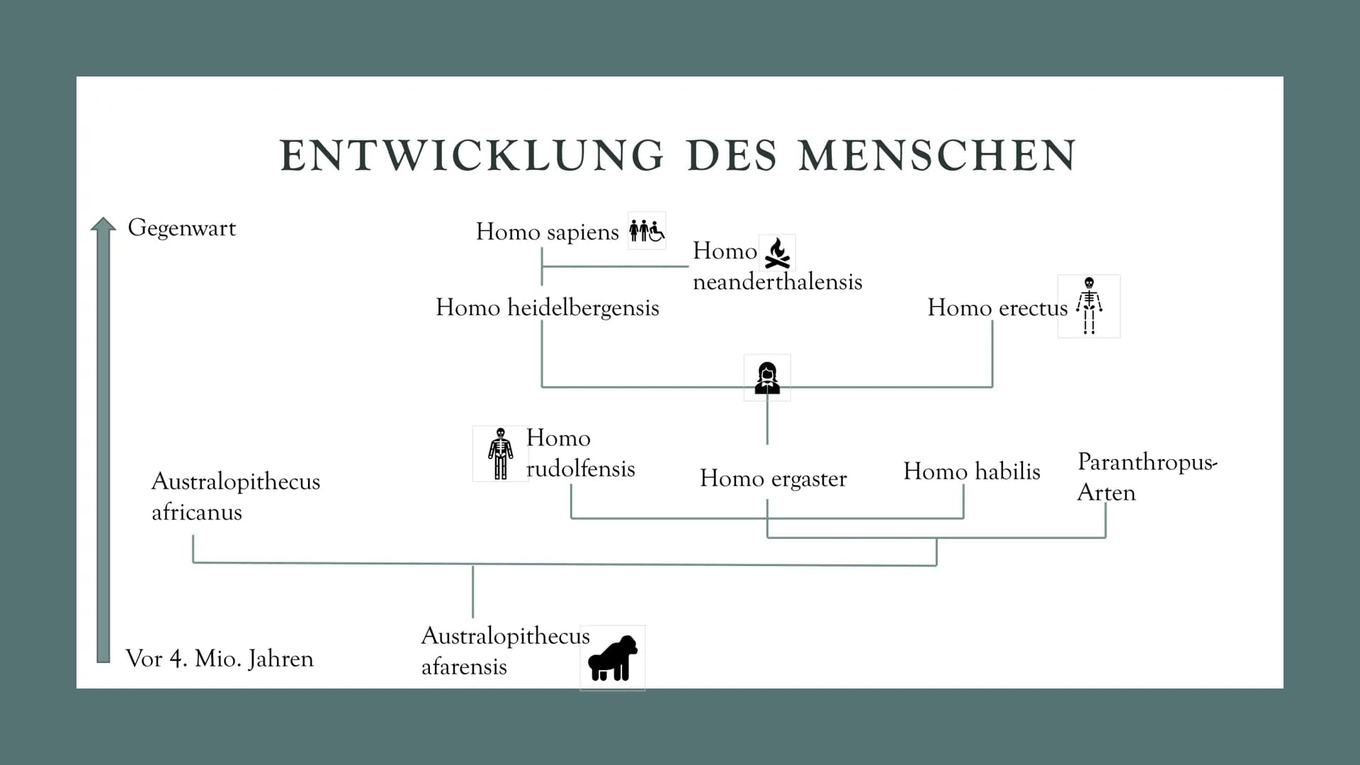 # DIE
# EVOLUTION
# DES
# MENSCHEN
Biologie Leistungskurs # GLIEDERUNG
1. Evolution des Menschen einfach erklärt
2. Der Mensch und der