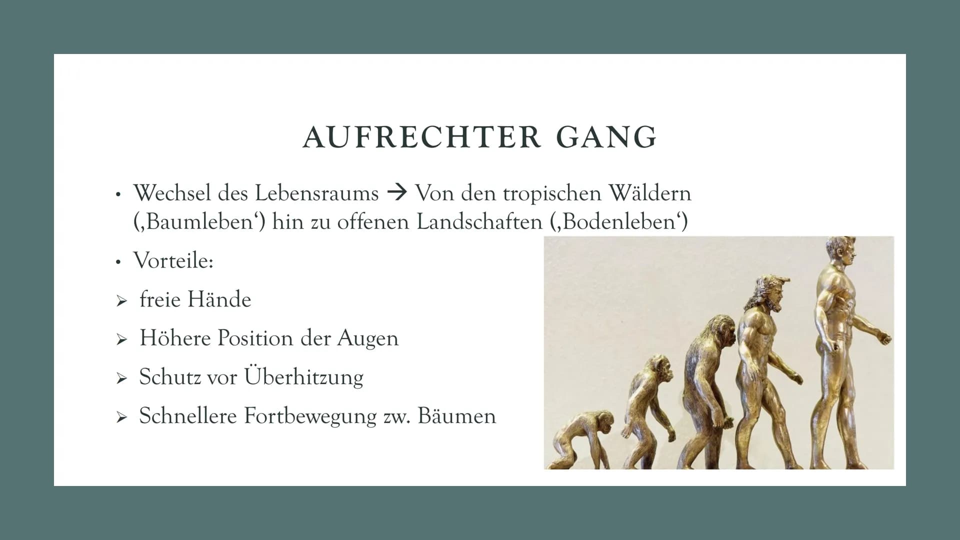# DIE
# EVOLUTION
# DES
# MENSCHEN
Biologie Leistungskurs # GLIEDERUNG
1. Evolution des Menschen einfach erklärt
2. Der Mensch und der
