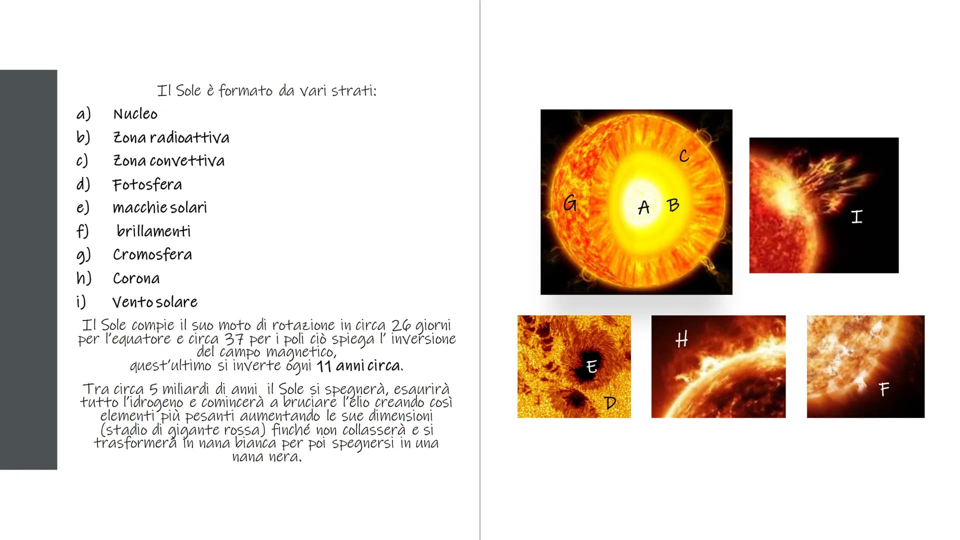 <p>Il sistema solare è composto da diversi elementi, tra cui:</p>
<h2>Il Sole e il Sistema Solare</h2>
<p>Il sistema solare è composto da u