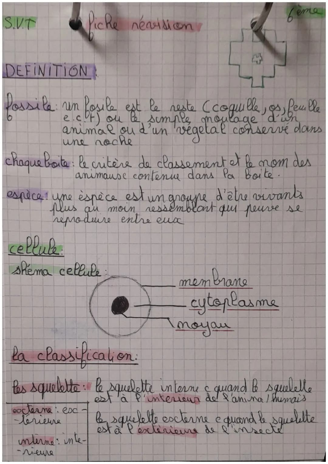 SVT
fiche révision
feme
DEFINITION
fossile: un fosile est le reste (coquil
e.cof) ou le simple moulage d'un
(coquille, os, feuille
animal ou