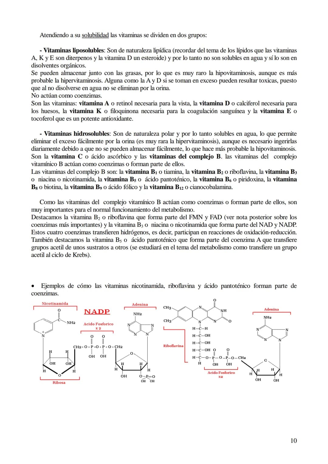 # TEMA 5-LOS BIOCATALIZADORES.
## Enzimas y vitaminas
- Concepto de Biocatalizador.
- Enzimas: Definición y características (actividad y es