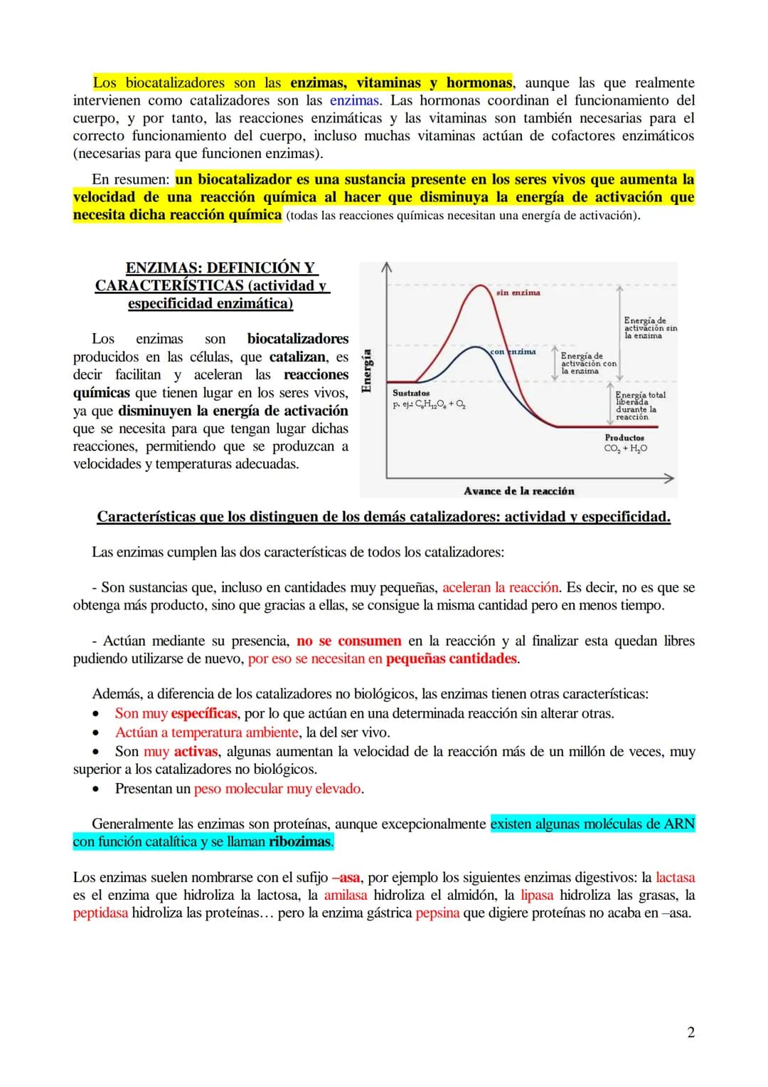 # TEMA 5-LOS BIOCATALIZADORES.
## Enzimas y vitaminas
- Concepto de Biocatalizador.
- Enzimas: Definición y características (actividad y es