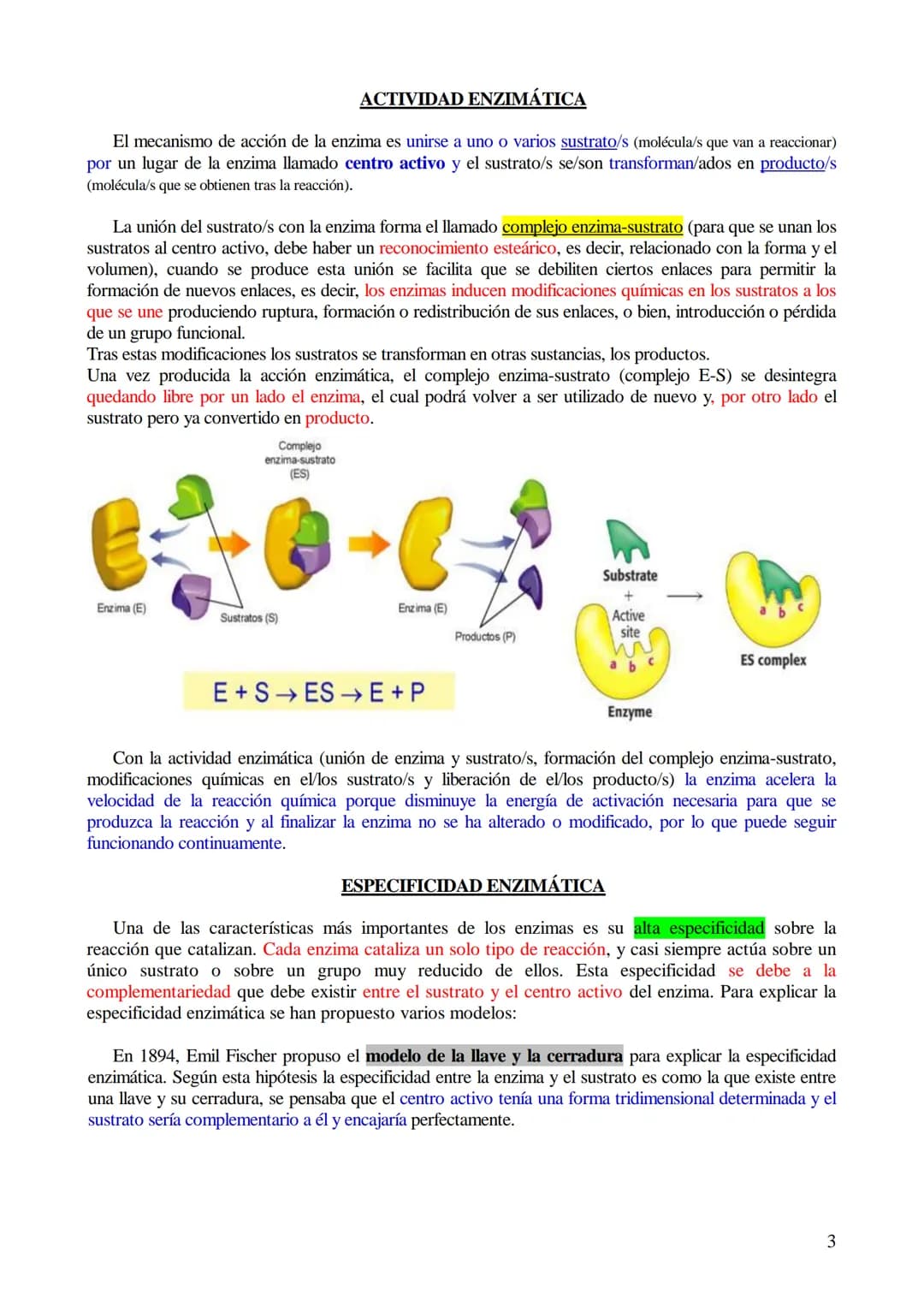 # TEMA 5-LOS BIOCATALIZADORES.
## Enzimas y vitaminas
- Concepto de Biocatalizador.
- Enzimas: Definición y características (actividad y es