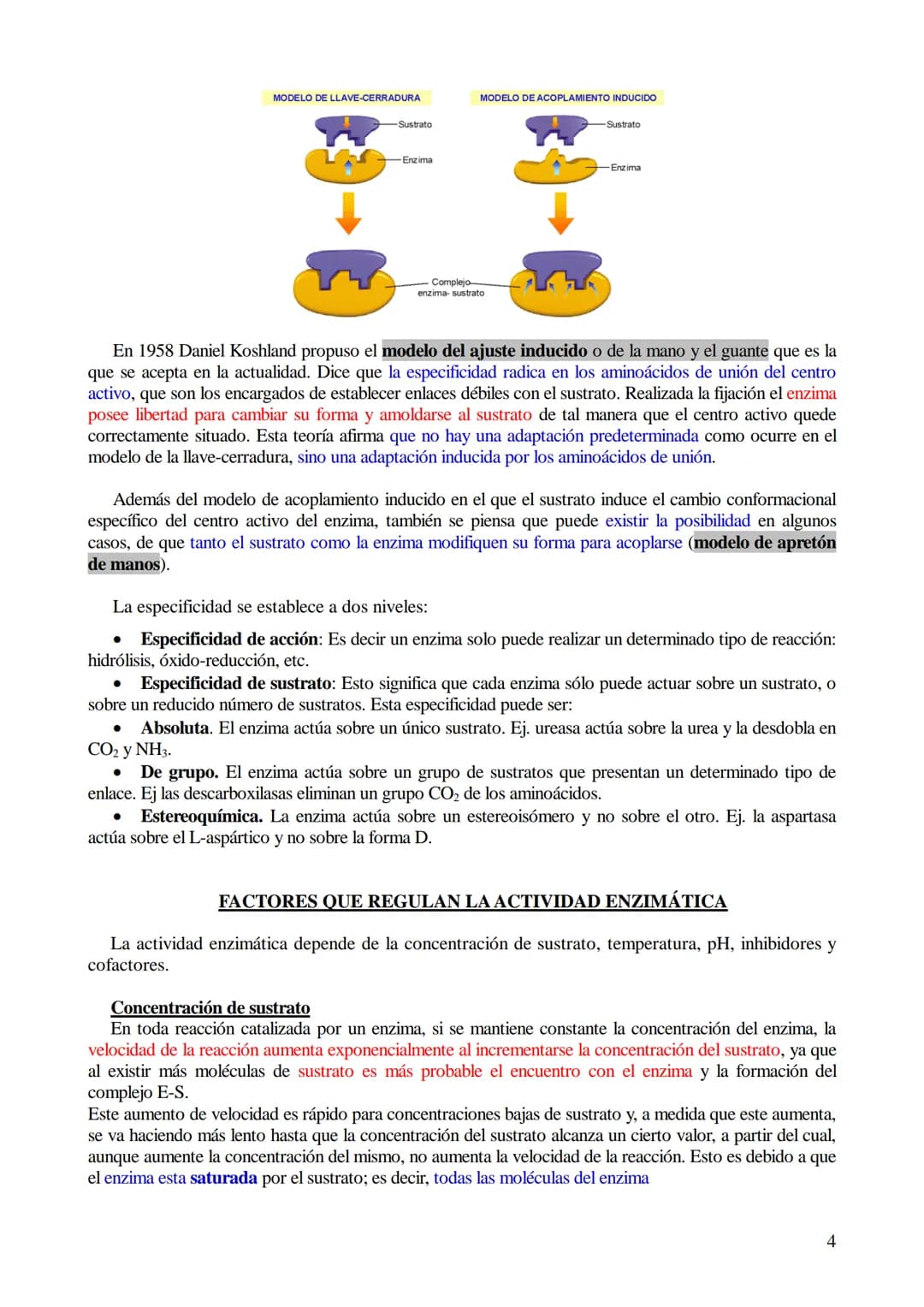 # TEMA 5-LOS BIOCATALIZADORES.
## Enzimas y vitaminas
- Concepto de Biocatalizador.
- Enzimas: Definición y características (actividad y es