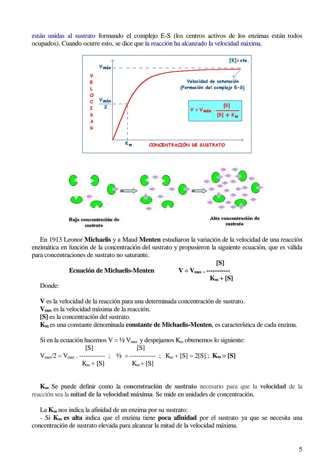 # TEMA 5-LOS BIOCATALIZADORES.
## Enzimas y vitaminas
- Concepto de Biocatalizador.
- Enzimas: Definición y características (actividad y es