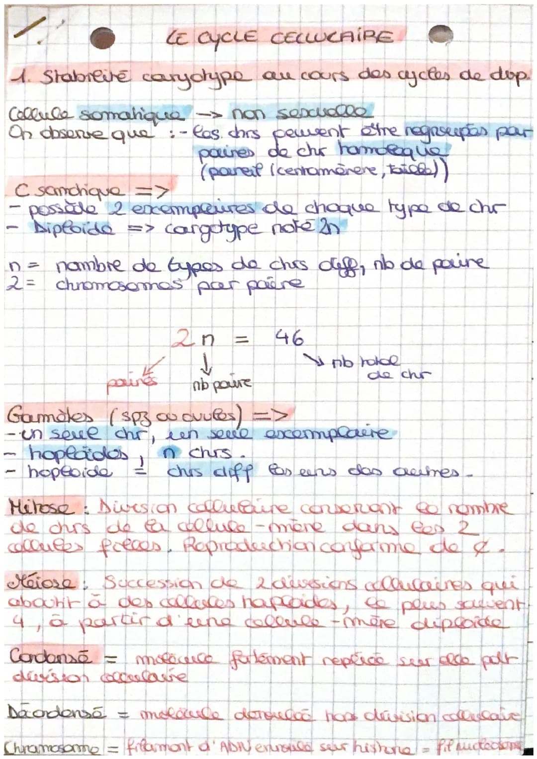 # LE CYCLE CECLUCAIRE
1. Stabreire caryotype au cours des cycles de dop
Cellule somatique non sexualle
On observe que
C samchique =>
:-
