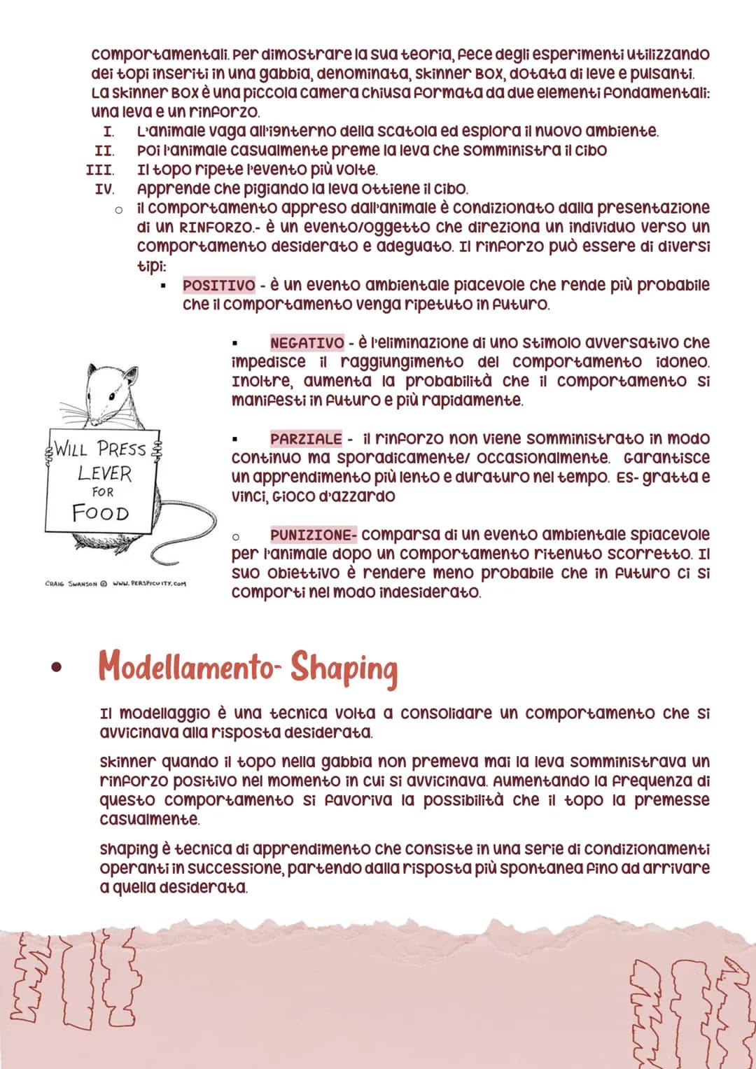 # b'apprendimens
L'apprendimento è un cambiamento comportamentale che dipende dalle nostre
esperienze passate e dalle informazioni acquisit