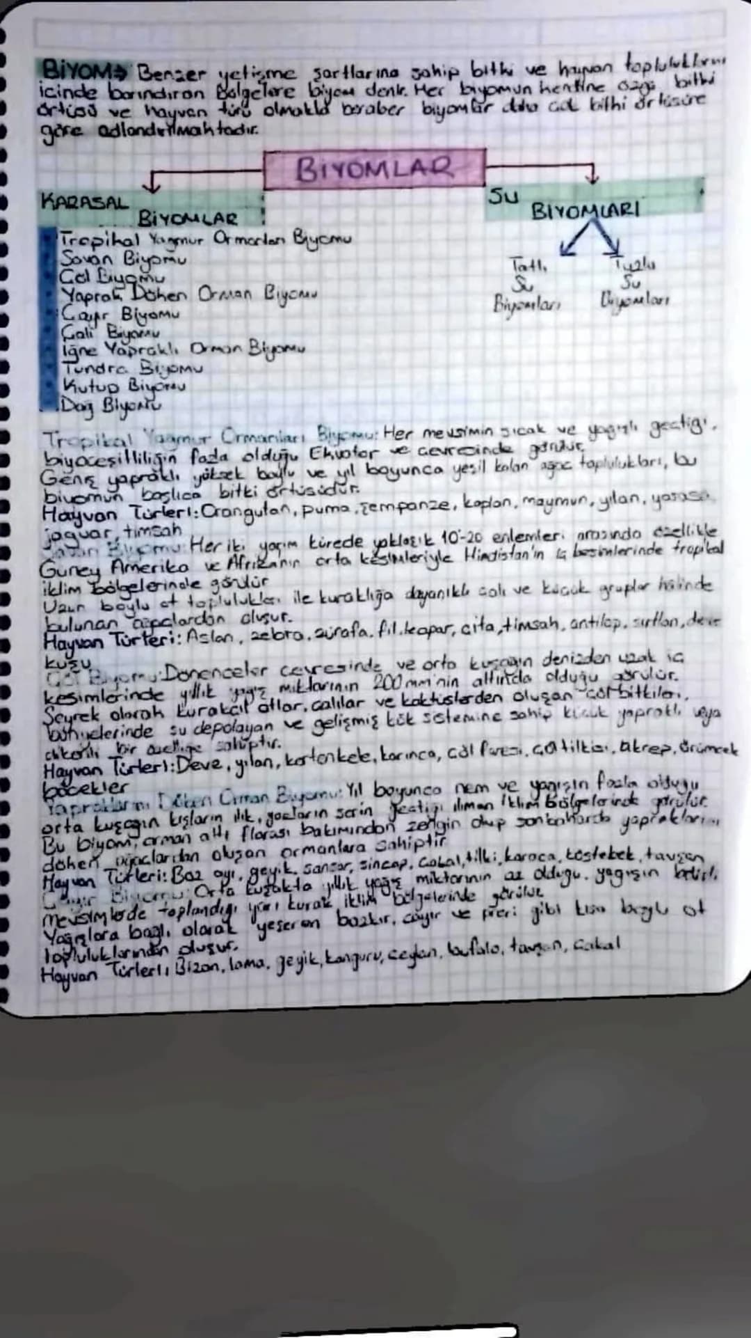 11. SINIF COĞRAFYA
DOĞAL SISTEMLER
Biypceşitlilik, bir belgedeki çeşitli dzelliklere sahip bith, ve hayvan turleri ile
mikroorganizmaların