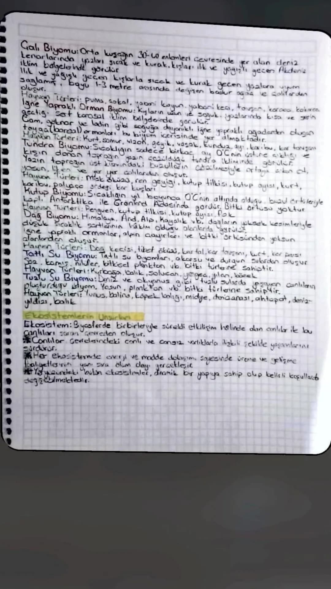 11. SINIF COĞRAFYA
DOĞAL SISTEMLER
Biypceşitlilik, bir belgedeki çeşitli dzelliklere sahip bith, ve hayvan turleri ile
mikroorganizmaların