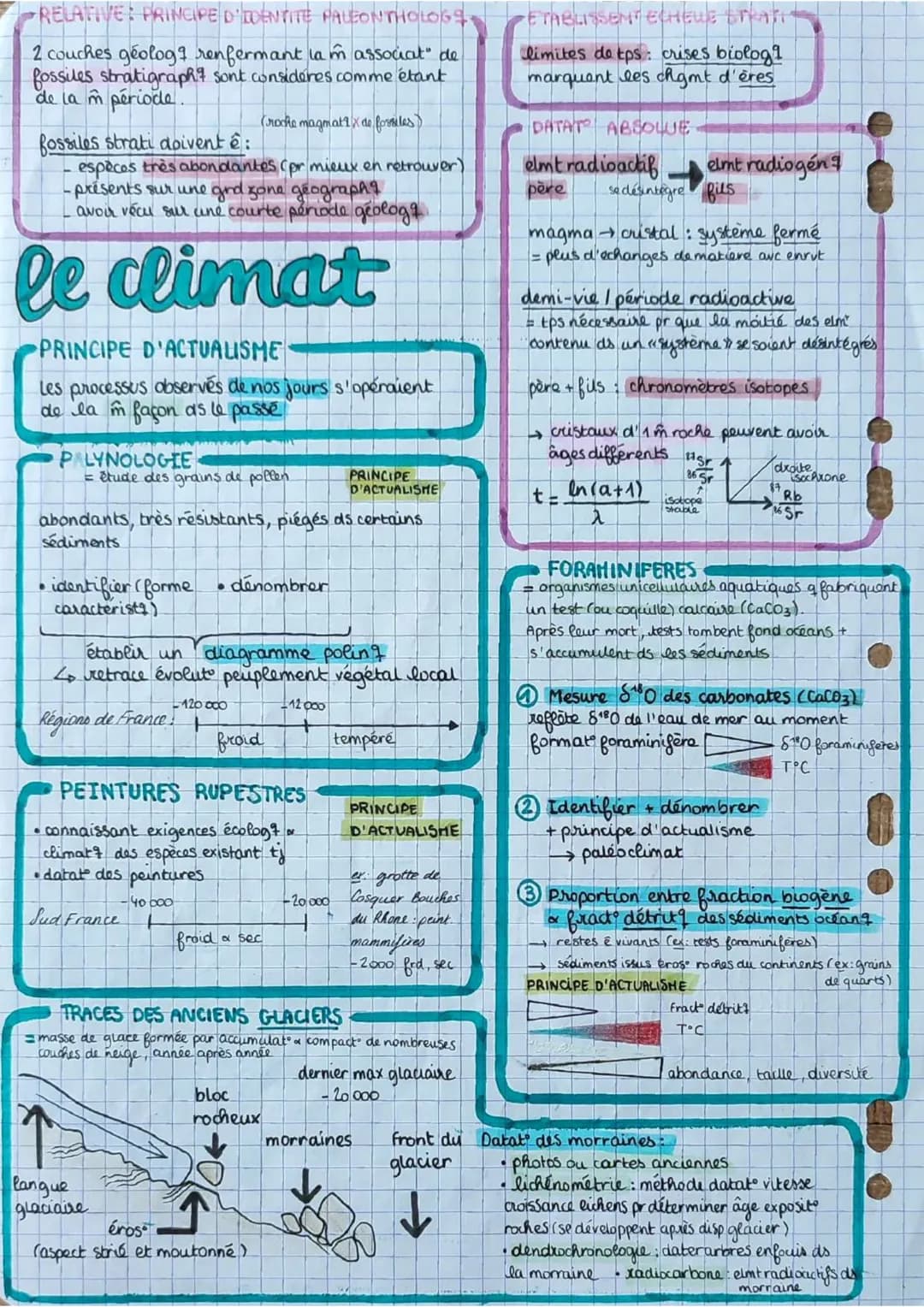```markdown
= plantes
les angiospermes feunt
à fleurs
dioxyde de
carbone
CO2
6
lumière Oxygène
02 6
SURFACE FOLIAIRE
→ structure multicouc