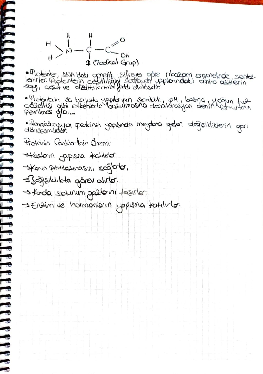 Biyoloji-Canlıların Yapısında Julunan
Temel Rilesikler
• Insan Wicudunun yapısında yaklaşık 25 farklı element bulunur.
•En fazla bulunan e