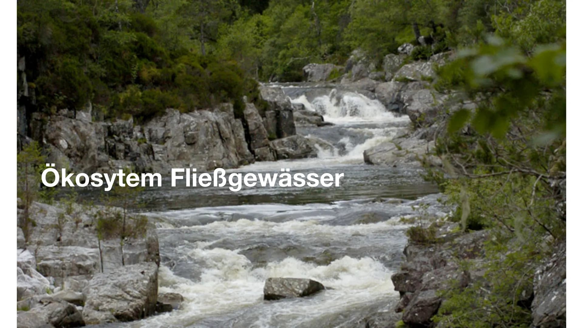 # Ökosytem Fließgewässer # Inhaltsverzeichnis
* Was sind Fließgewässer?
* Abiotische & biotische Faktoren
* Vergleich der Fließgewäss
