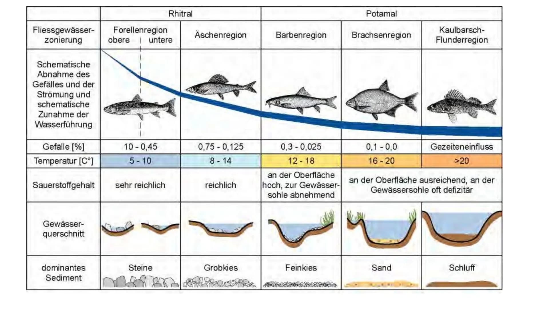 # Ökosytem Fließgewässer # Inhaltsverzeichnis
* Was sind Fließgewässer?
* Abiotische & biotische Faktoren
* Vergleich der Fließgewäss
