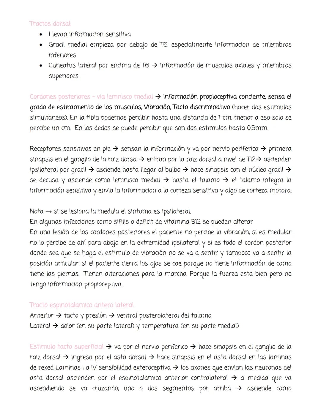 # médula
Tiene forma cilíndrica, se extiende entre las vertebras, tiene sustancia blanca y sustancia
gris. La blanca en la periferia y la g