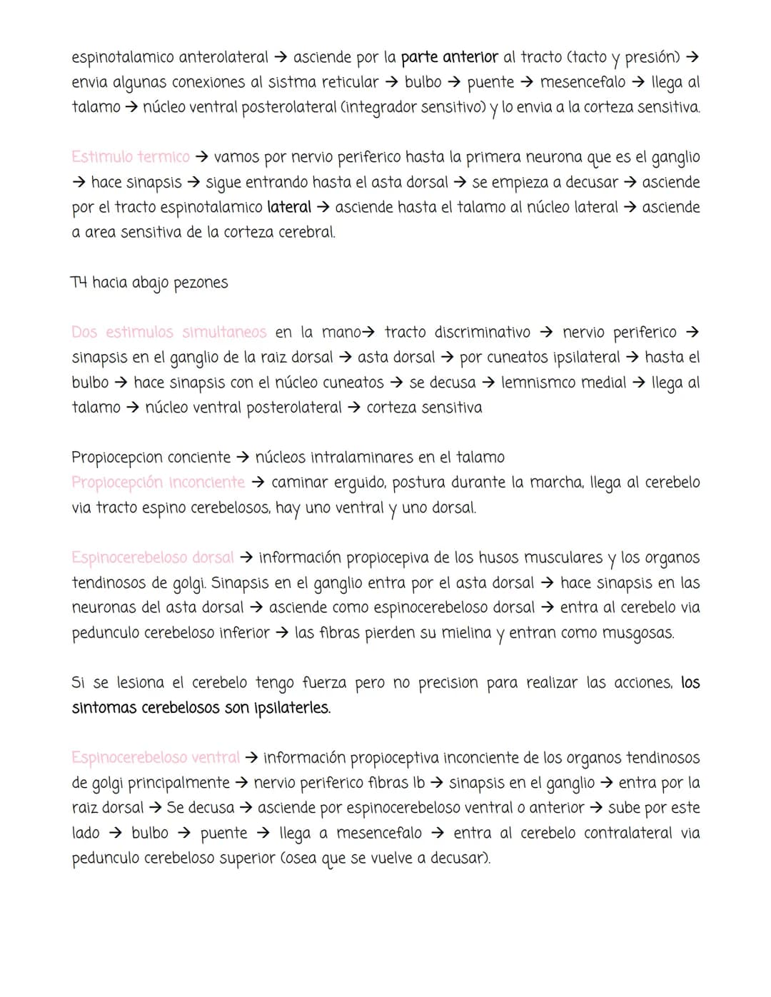 # médula
Tiene forma cilíndrica, se extiende entre las vertebras, tiene sustancia blanca y sustancia
gris. La blanca en la periferia y la g