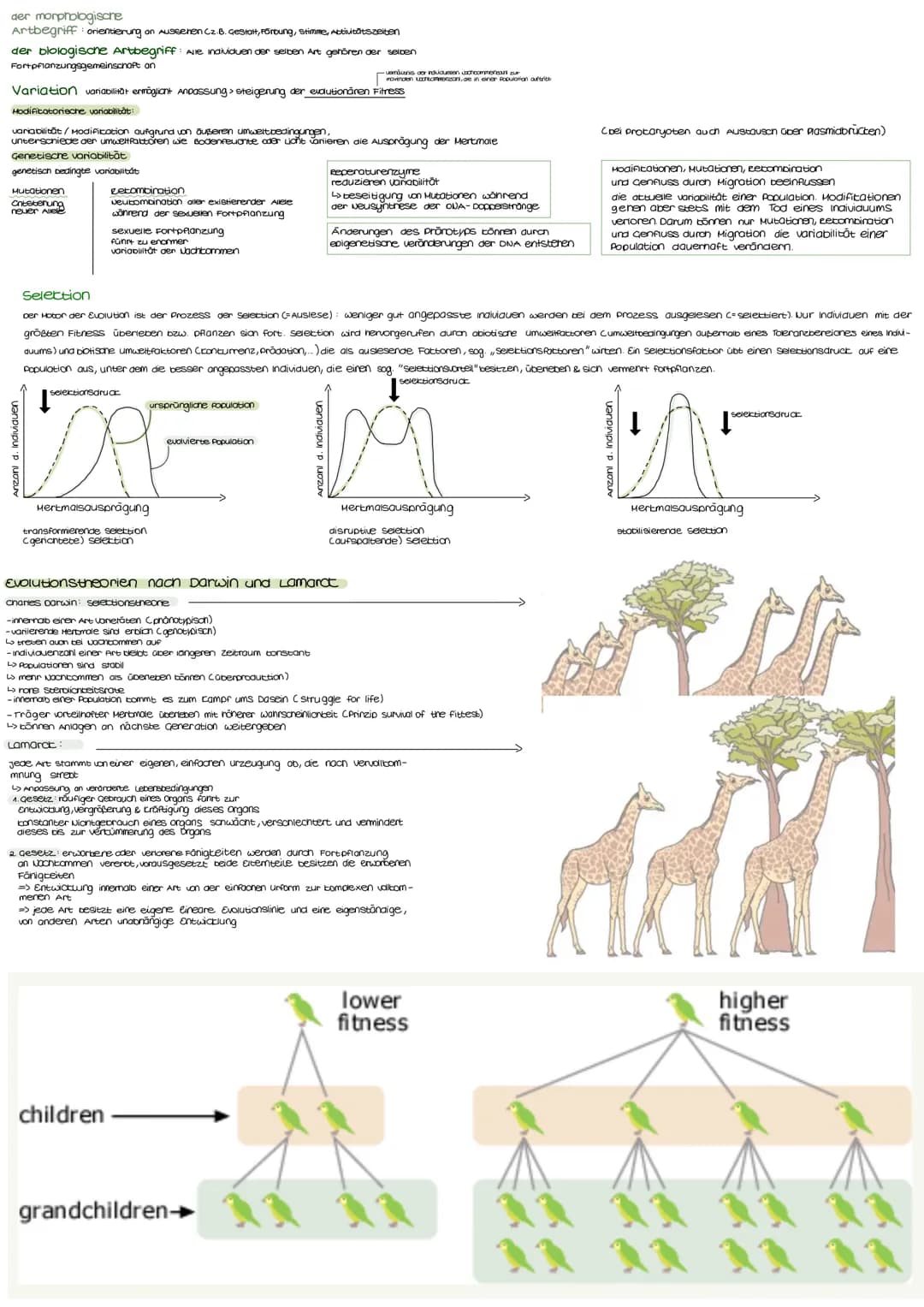 Anzoni d. individuen
der morphologische
Artbegriff: orientierung on Ausseren (2.8. Gesian, Föroung, stimme, Activitissanten
der blologison