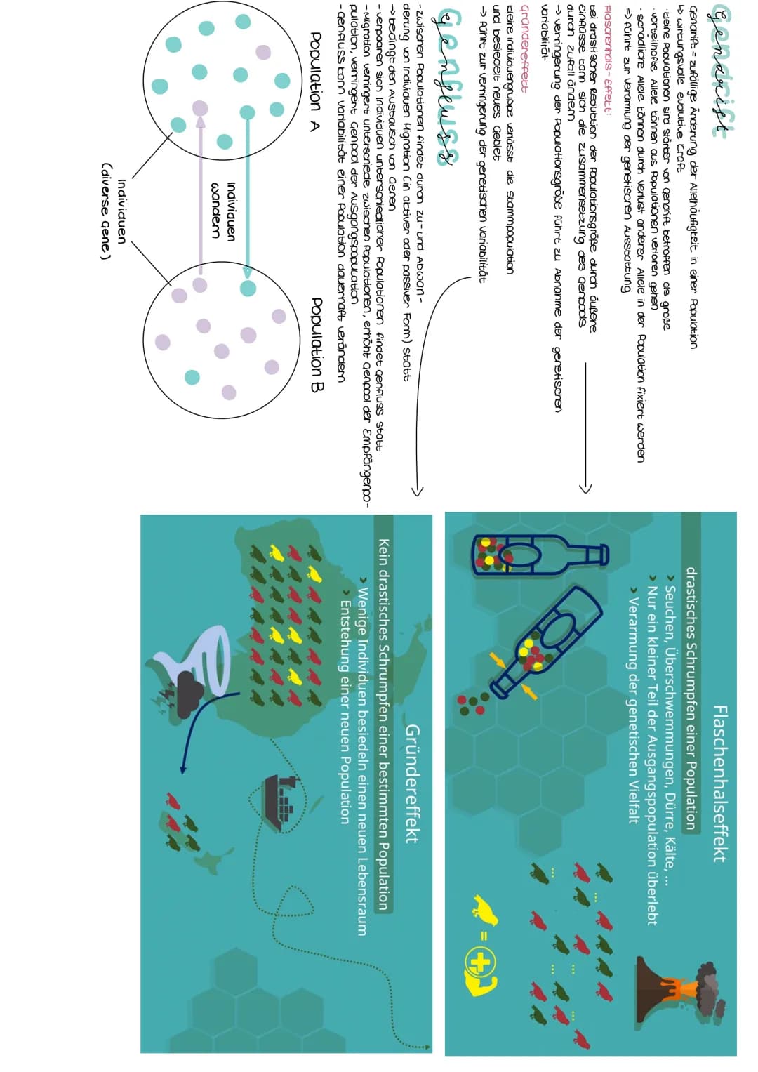 Anzoni d. individuen
der morphologische
Artbegriff: orientierung on Ausseren (2.8. Gesian, Föroung, stimme, Activitissanten
der blologison