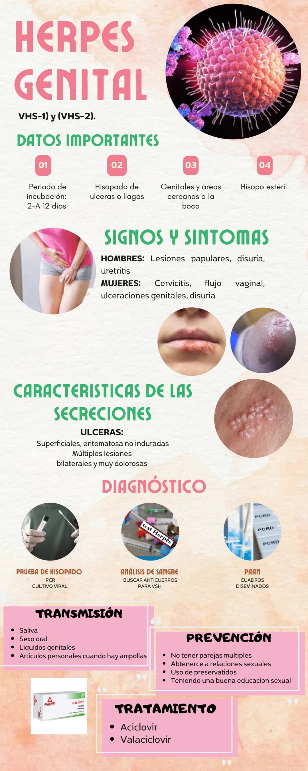 # HERPES
# GENITAL
VHS-1) y (VHS-2).
# DATOS IMPORTANTES
01
Periodo de
incubación:
2-A 12 días
02
Hisopado de
ulceras o llagas
03
G