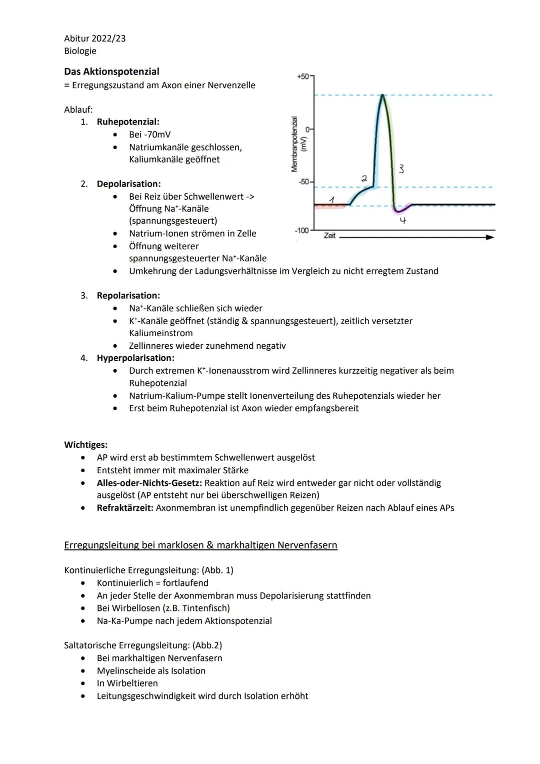 Abitur 2022/23
Biologie
LPE 4 Steuerungs- und Regelungsvorgänge
1. Nervenphysiologie
a. Bau von Sinnes- und Nervenzellen
b. Ruhe- und Akt