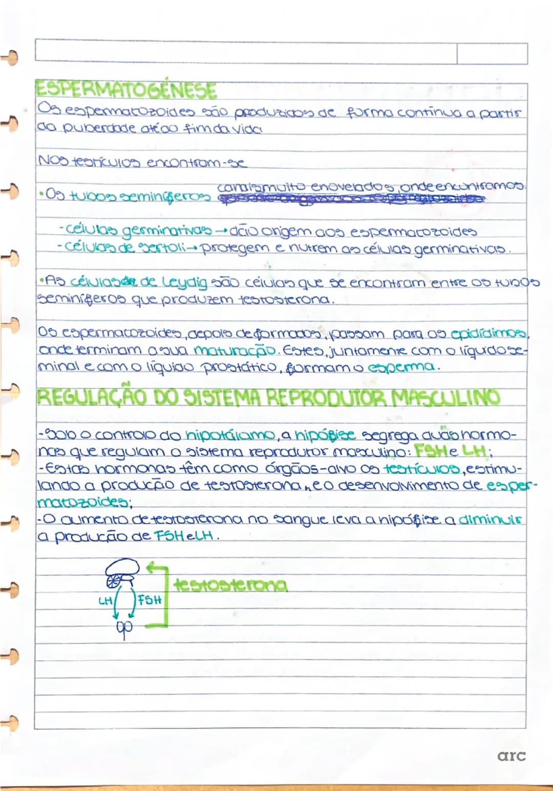 # Sistema Reprodutor Masc.
Testículos → Glândulas endócrinas (porque produzem hormônios – testosterona) e gônadas (porque produzem gametas