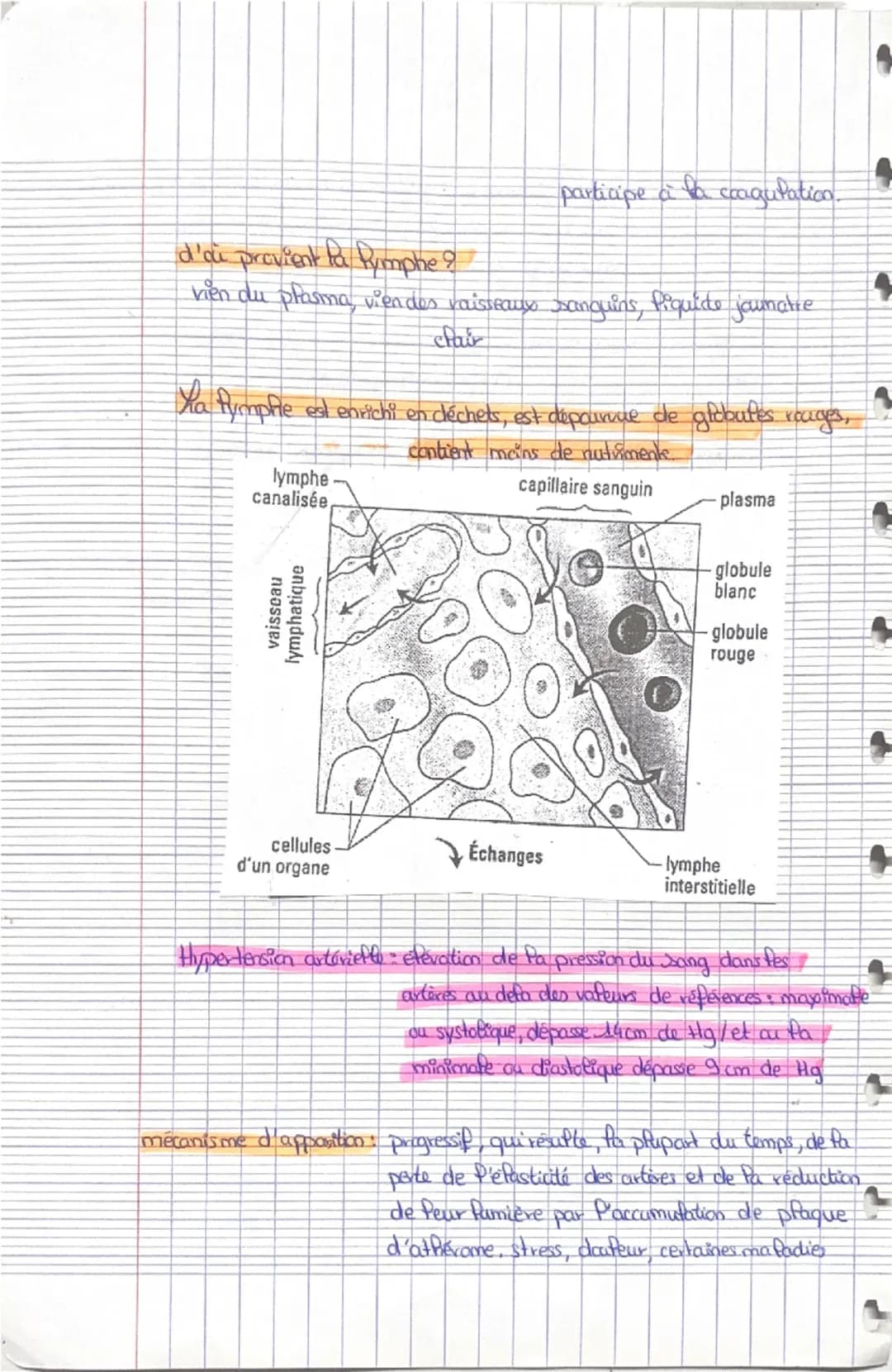 # L'appareil cardiovasculaire.
# Le coeur
veine cave Superieur
aorte
artère pulmonaire droite
artère pulmonaire G
oreillette Droite...
vei