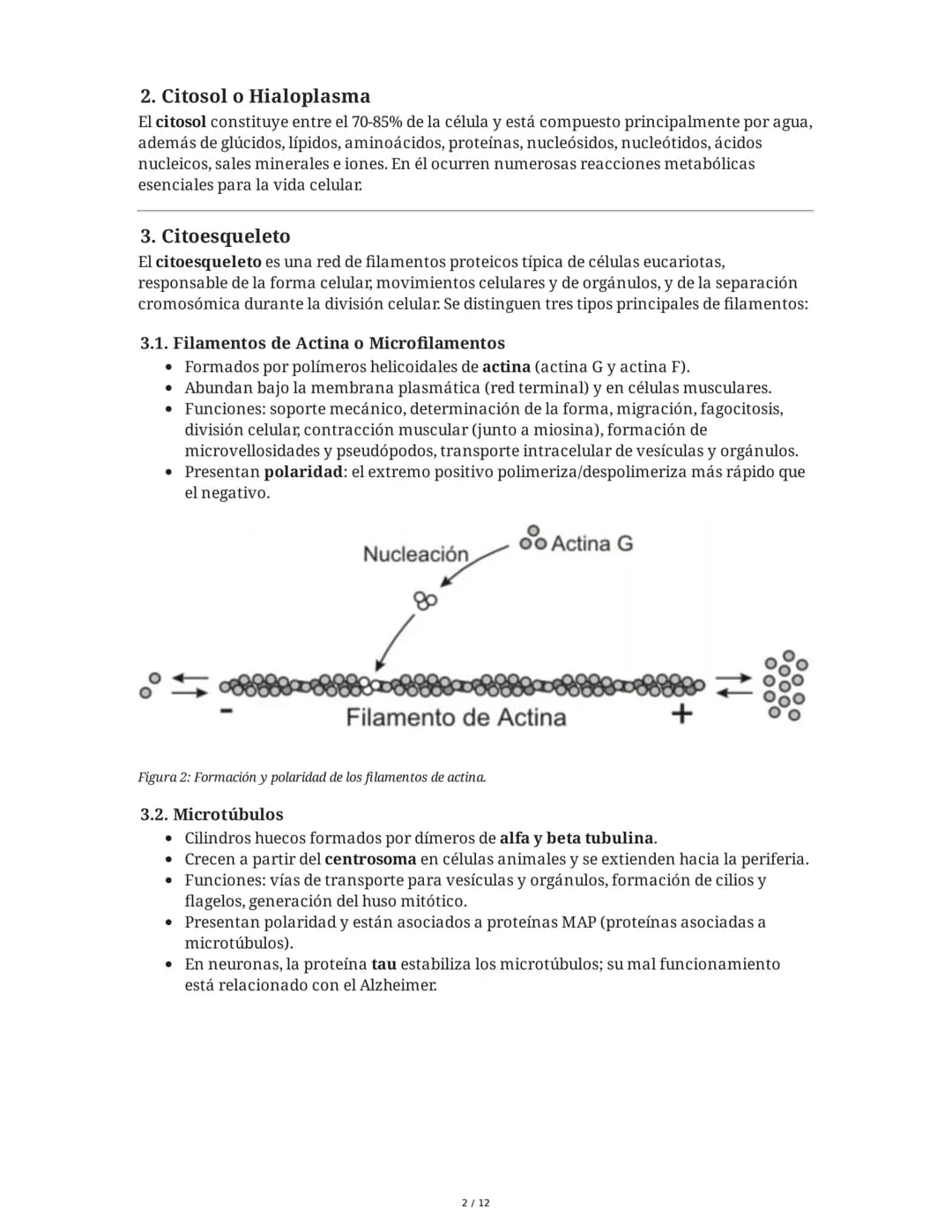 Tema 8: Orgánulos Celulares I
1. Introducción y Organización Celular
El estudio de los orgánulos celulares es fundamental para comprender la