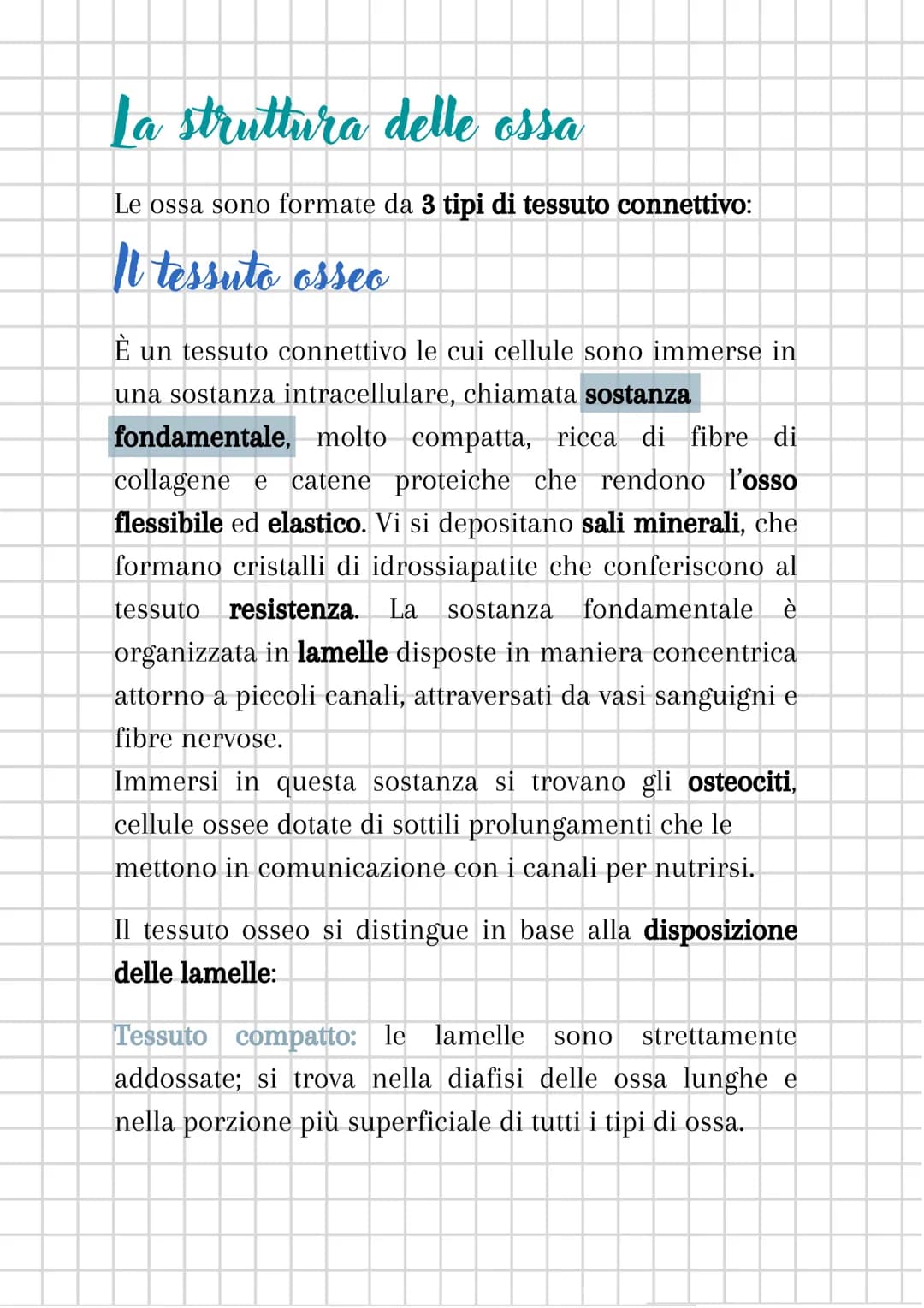 # L'apparato scheletrico
L'apparato scheletrico è composto dall'unione di tessuti
diversi che danno forma alle ossa, le quali insieme
forma