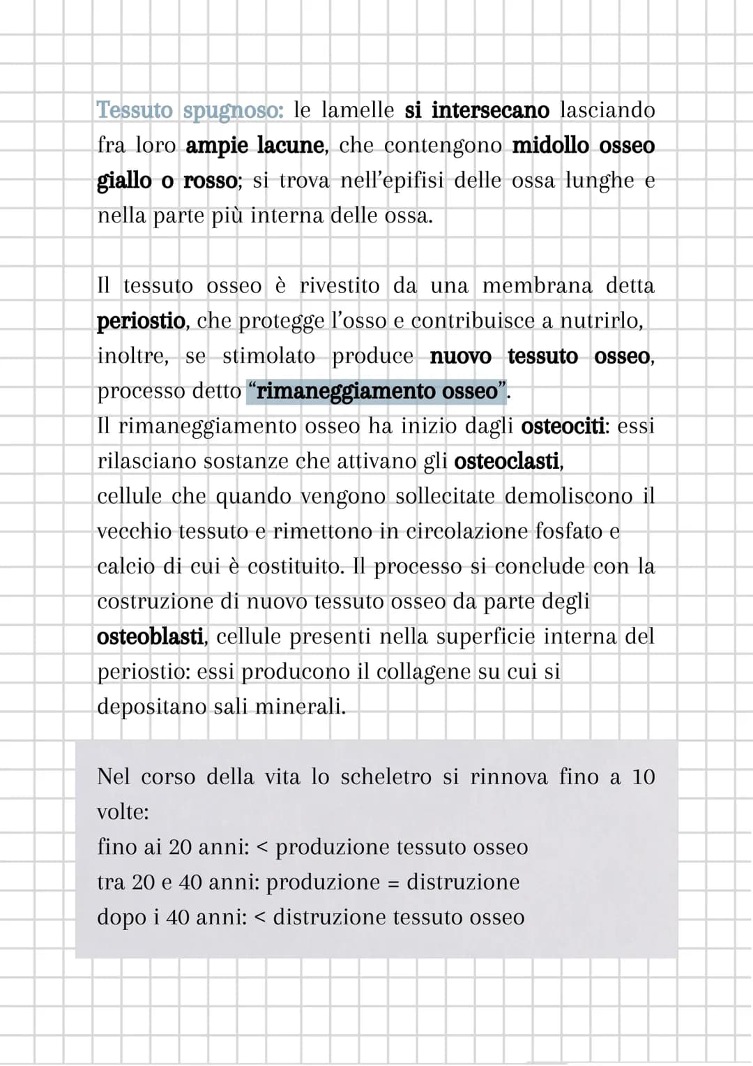 # L'apparato scheletrico
L'apparato scheletrico è composto dall'unione di tessuti
diversi che danno forma alle ossa, le quali insieme
forma