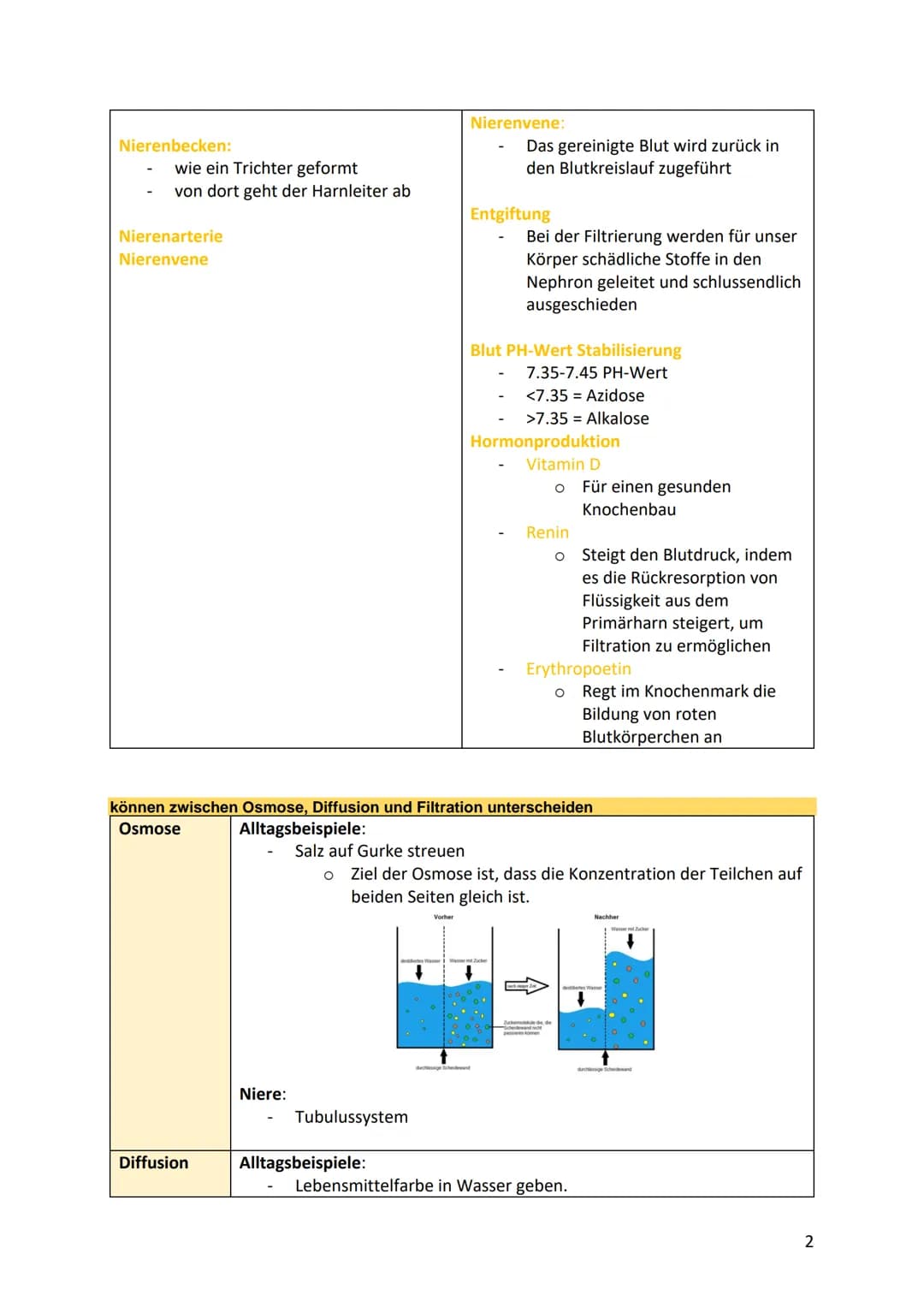 # Nieren/Harnproduktion und
Ausscheidung
beschreiben die Anatomie und Physiologie der Nieren
Nierenmark
viele kleine Kanälchen 99% des
fil