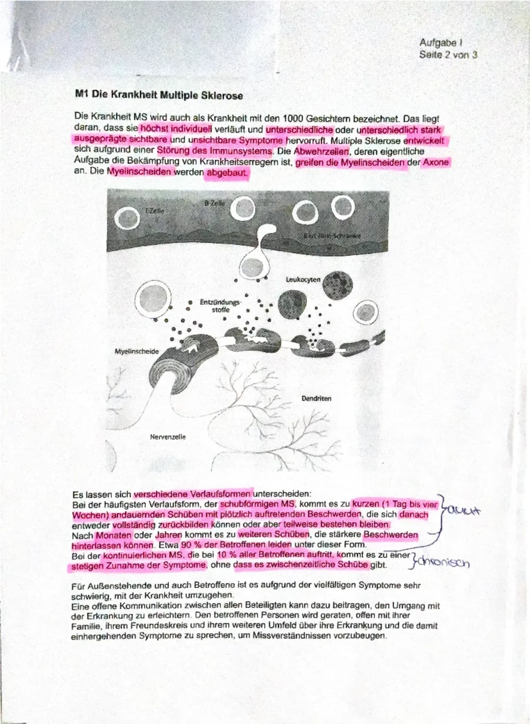 # 1 Multiple Sklerose
Teilaufgabe Anforderungen: Die Schülerin der Schüler
BE max
BE
1.1
Erläutert die grundsätzlichen Funktionen des Neuron