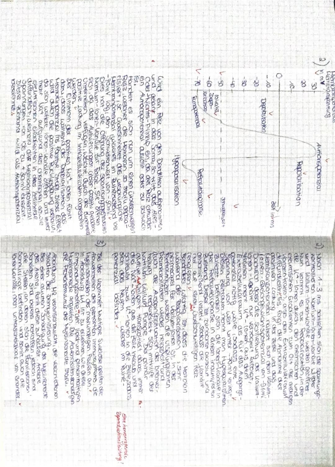 # 1 Multiple Sklerose
Teilaufgabe Anforderungen: Die Schülerin der Schüler
BE max
BE
1.1
Erläutert die grundsätzlichen Funktionen des Neuron