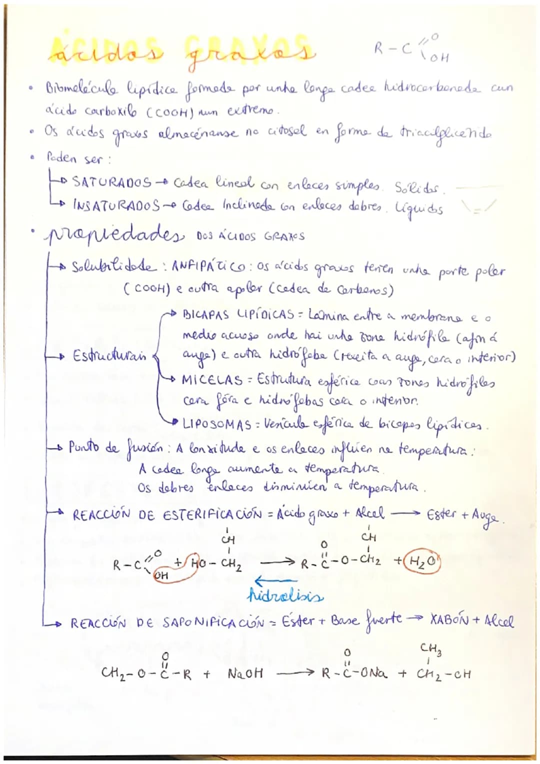 # Lipidos
(LIPIDOS) Biomolécule orgánice formade per C, H e O.
propiedades
→ Diversas estruturas e funcións.
→ Insolubres en auge e outr