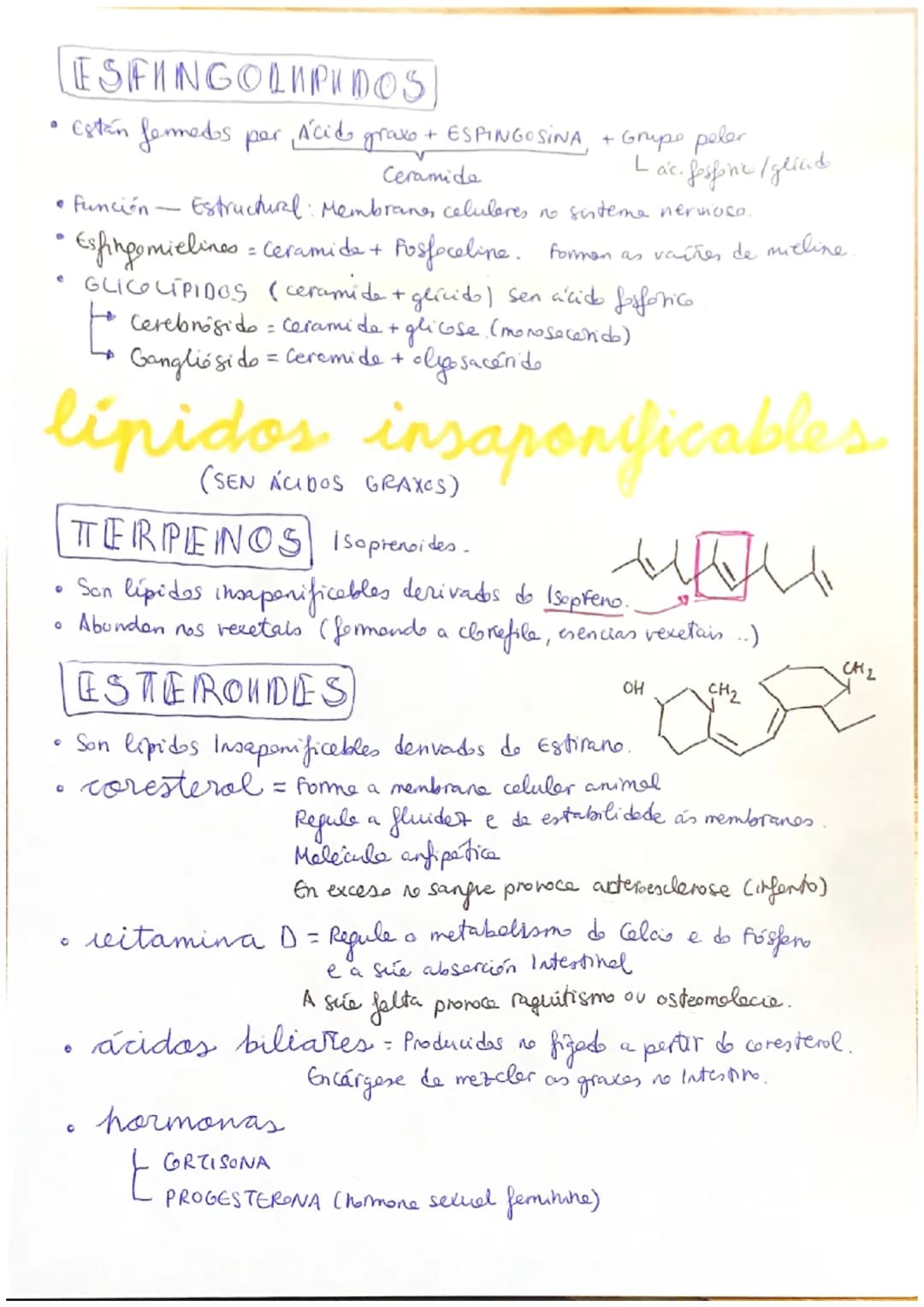 # Lipidos
(LIPIDOS) Biomolécule orgánice formade per C, H e O.
propiedades
→ Diversas estruturas e funcións.
→ Insolubres en auge e outr